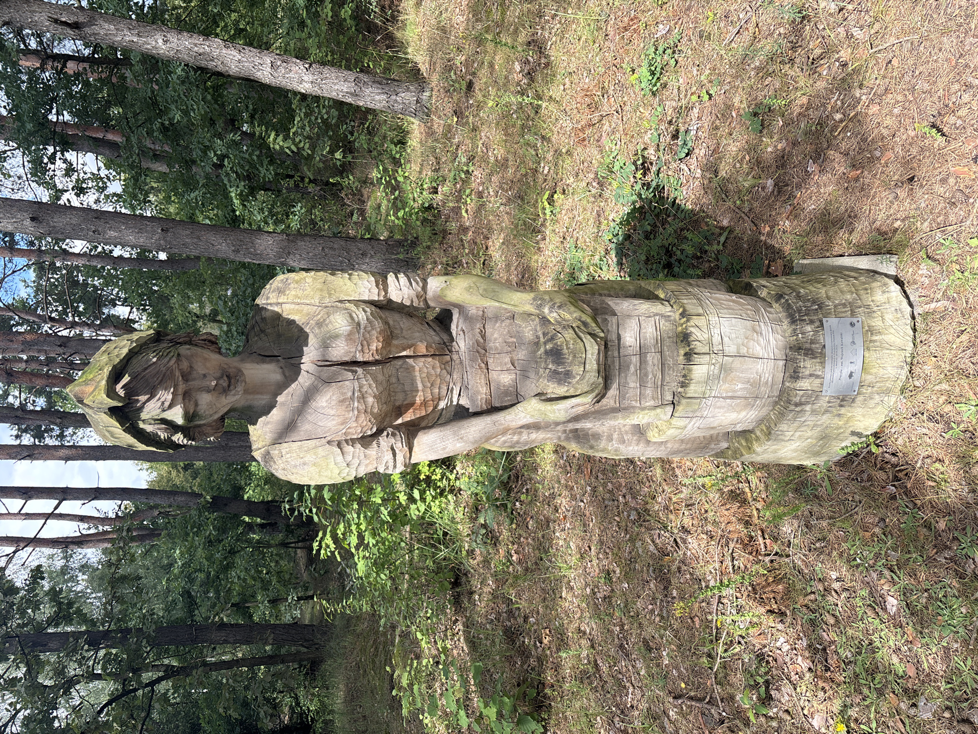 A full-body wooden sculpture of a woman stands in a forest clearing in Sielachowskie, Poland. The sculpture is weathered and appears to be carved from a single log. The woman is depicted wearing a dress and a head covering, and she is holding a bucket in her hands. The sculpture is mounted on a circular wooden base, which in turn is set on a concrete pedestal. A metal plaque is attached to the base of the pedestal. The surrounding environment consists of pine trees, undergrowth, and a ground covered with pine needles and dry leaves. Sunlight filters through the trees, casting shadows on the ground.