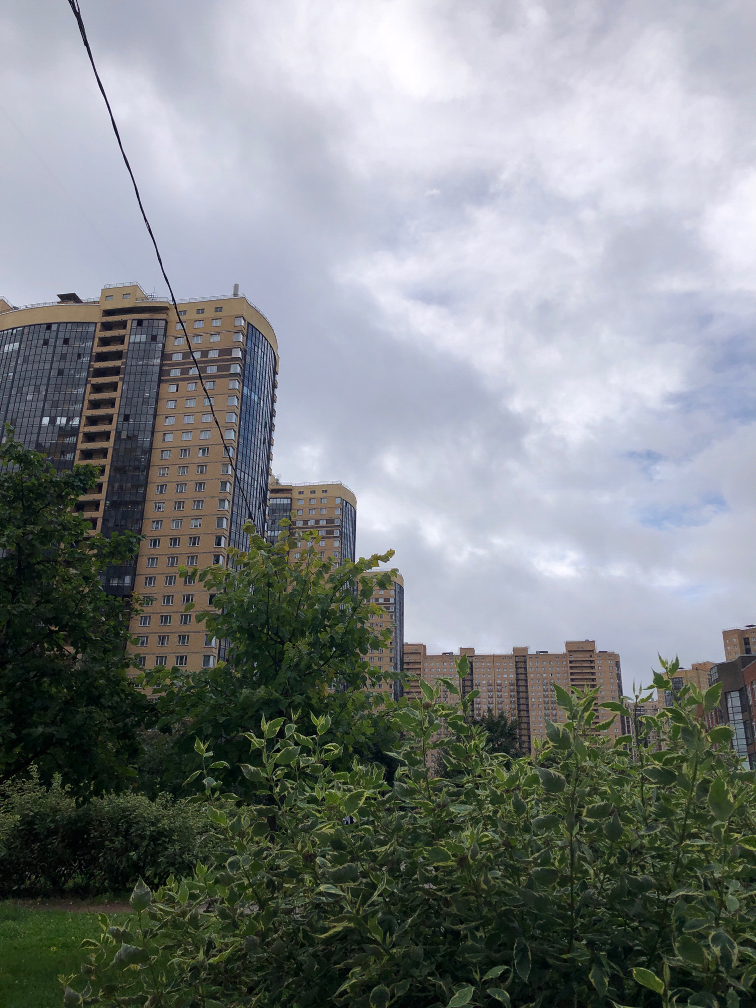 A wire stretches diagonally across the frame from the upper left to the lower right. The foreground is filled with lush green bushes and trees, some with variegated leaves. Behind the foliage, several tall, modern apartment buildings are visible. These buildings are light brown or beige in color, with numerous windows and balconies. The sky above is overcast with gray clouds, indicating a cloudy day. The scene depicts a residential area in Pargolovo, Russia, likely a suburban or newly developed part of the city, characterized by multi-story apartment complexes surrounded by green spaces. There are no people or animals visible in the image.