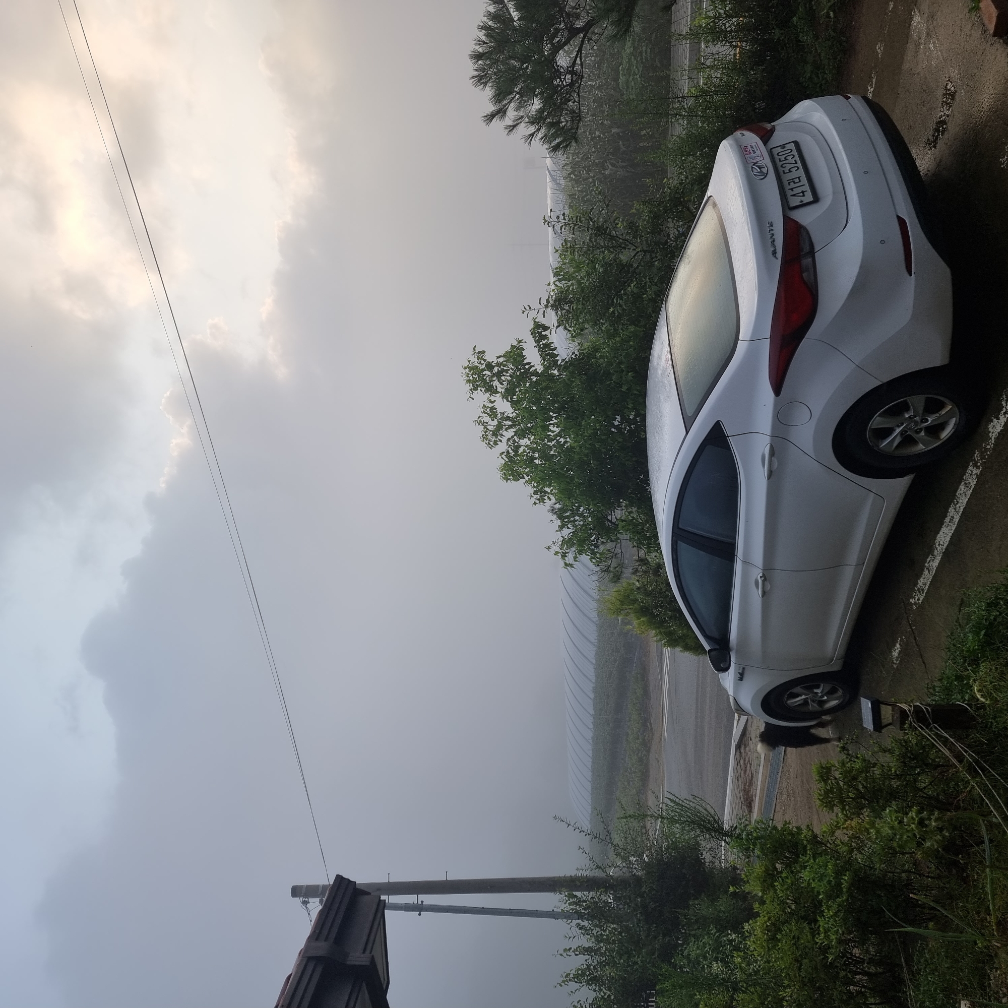 In Dunnae-myeon, South Korea, a white sedan is parked on a wet asphalt driveway next to a building with a dark tiled roof. The car is facing away from the camera. To the left of the car, a small, dark-colored dog with a fluffy tail stands near a patch of green bushes. In the background, a long, white greenhouse-like structure is visible under a hazy, overcast sky, with trees and other foliage surrounding it. The scene appears to be set during the early morning or late evening, given the diffused light and the presence of fog or mist.