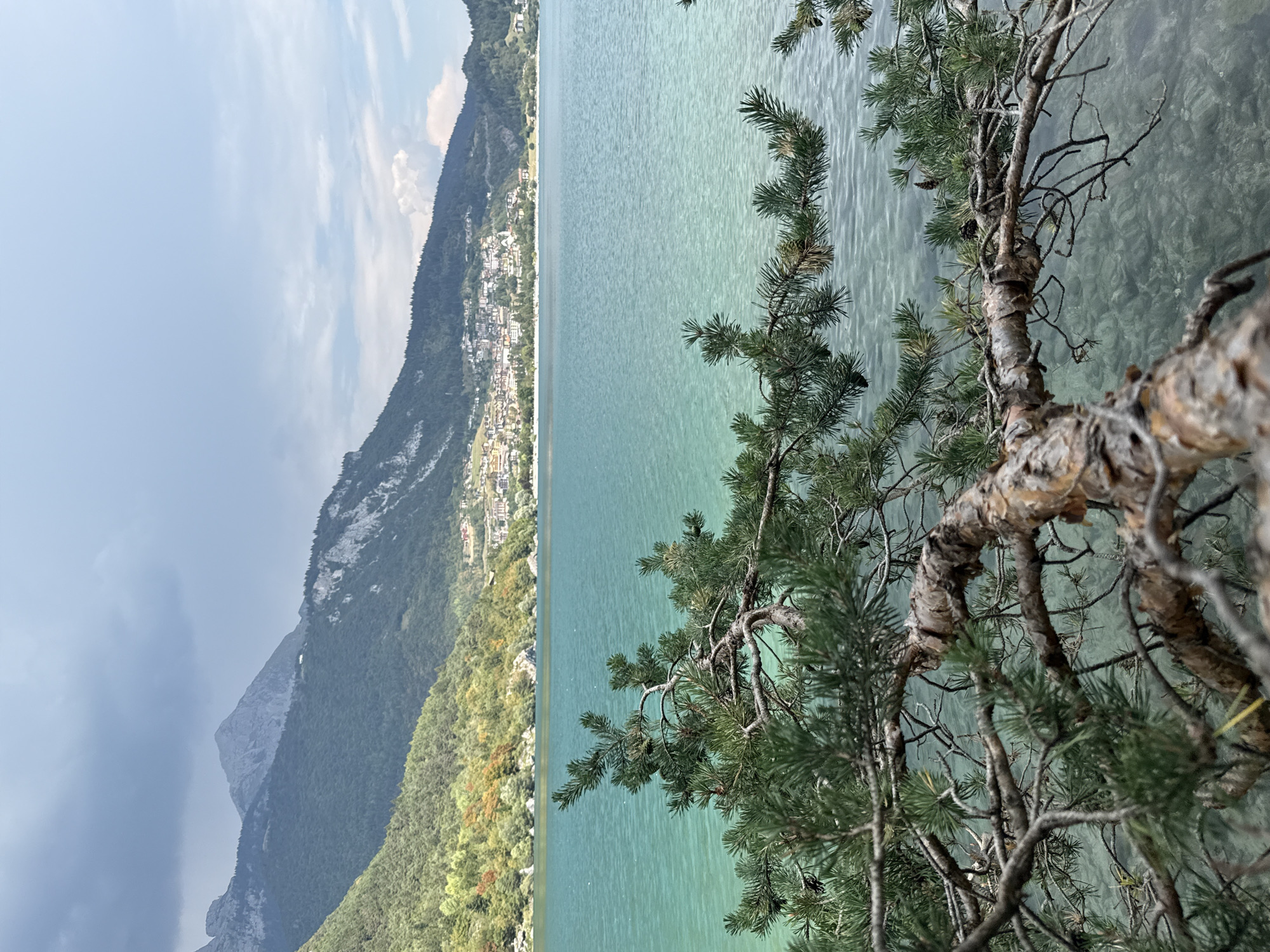A photograph captures a scenic view of a turquoise lake bordered by lush green hills and a distant town. In the foreground, a pine tree branch with needles and cones extends into the frame, obscuring parts of the lake. The water is clear, revealing the rocky bottom. In the middle ground, the town of Molveno, Italy, is visible, nestled on the lakeshore and ascending the hillside. The town features white and light-colored buildings with red roofs. Behind the town, forested mountains rise, their slopes dotted with trees. The sky above is a mix of light blue and dark, cloudy patches, with a prominent mountain peak visible in the background.