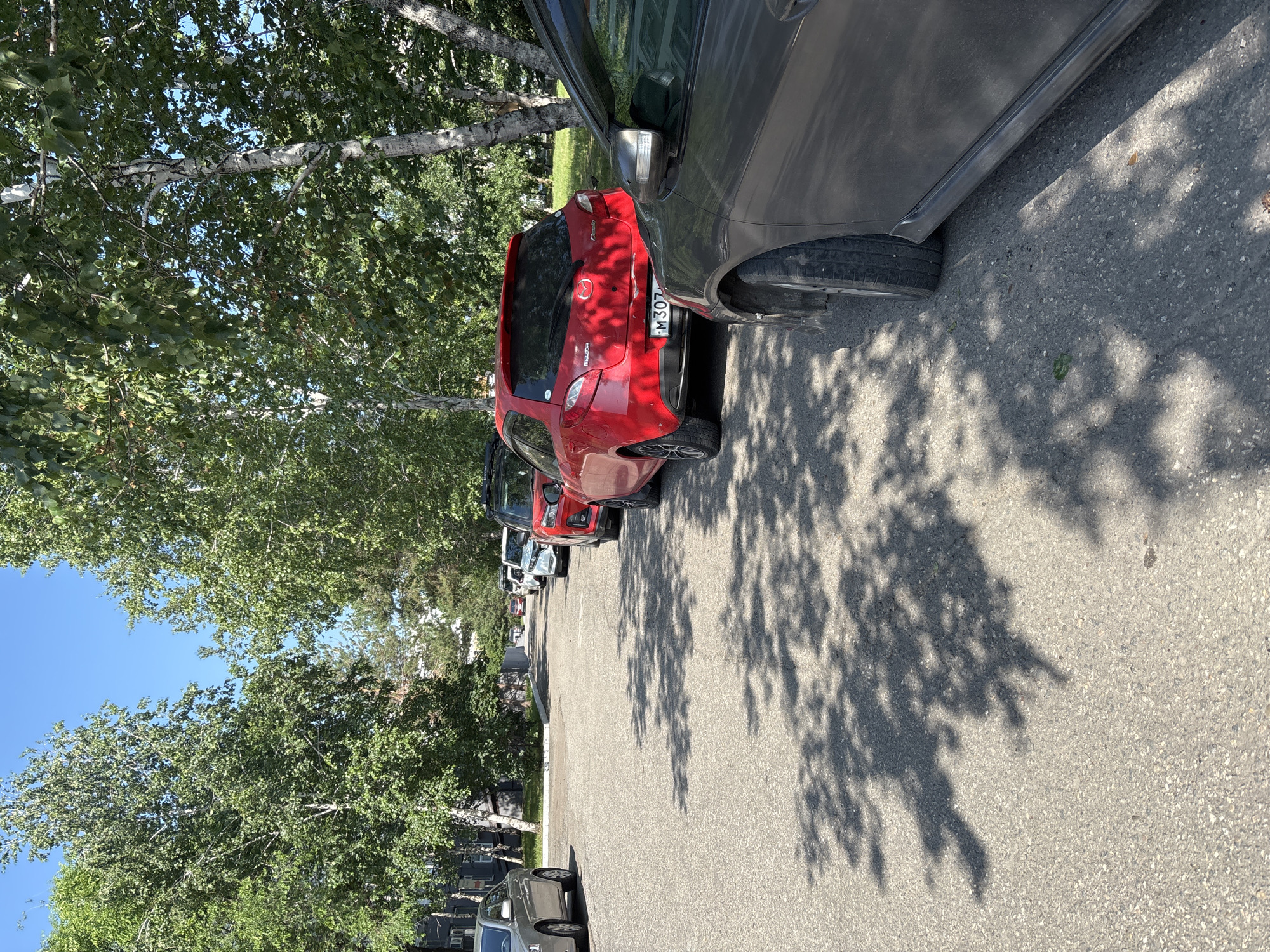 The image shows a row of cars parked along an asphalt road, bordered by trees with green foliage. The sun casts dappled shadows of the trees onto the road and the cars. The sky is visible between the leaves, appearing clear and blue, suggesting a sunny day. The cars are of various colors, including red, gray, and black. The red car in the foreground has a license plate that reads "M 307". The scene appears to be a parking area or a street in a residential or suburban area, possibly in Blagoveshchensk, Russia, given the context. There are no people visible in the image. The overall atmosphere is calm and ordinary, indicative of a typical daytime scene. The image is taken from a slightly elevated, tilted angle.