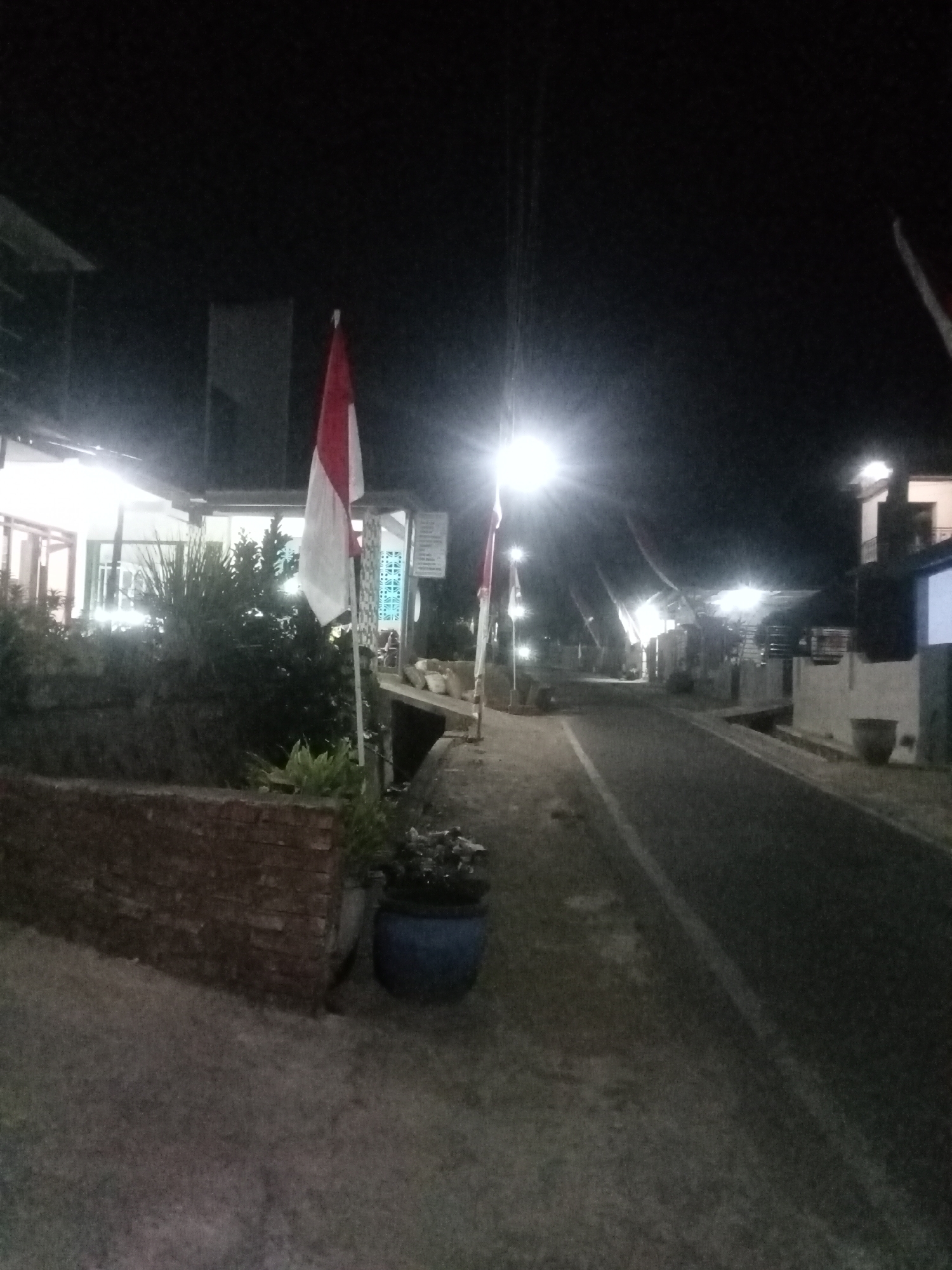 The image depicts a nighttime scene along a street in Malang, Indonesia. An Indonesian flag, red and white, is prominently displayed on the left side of the frame, planted in the ground. The flag appears to be attached to a pole and is partially illuminated by streetlights.
To the left of the flag, a building with bright interior lighting is visible, suggesting it is open for business or habitation. Bushes and greenery are present in front of this building, forming a landscaped area. A low brick wall runs along the edge of this area.
A paved road occupies the right side of the image, with a white line marking its center or edge. Streetlights illuminate the road and the surrounding environment, casting a yellowish glow. Several other buildings and structures line the street, some with visible lighting. One building on the right appears to be a multi-story structure.
The overall environment suggests a semi-urban or suburban setting, possibly a commercial or residential area. The presence of the Indonesian flag indicates a strong national presence or a patriotic display. The image is characterized by the stark contrast between the illuminated areas and the deep shadows cast by the nighttime setting.