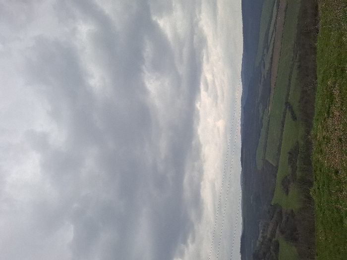 The scene presents a panoramic view of a rural landscape under an overcast sky, located in the vicinity of the city of Balkantsi, Bulgaria. The upper two-thirds of the image are dominated by a dense, uniform layer of grey clouds, indicating an overcast condition. Six thin, dark, parallel lines, consistent with electrical power or communication wires, traverse horizontally across the upper mid-ground from left to right. The foreground consists of green grass interspersed with sparse brown foliage, suggesting an elevated viewpoint. Below the wires and extending into the background, the terrain features rolling hills and valleys covered by a mosaic of dark green deciduous forests and distinctly shaped agricultural fields. These fields display varying shades of green, with some appearing brighter and others darker or brownish, indicating different stages of cultivation or vegetation types. Distant hills define the horizon line. No individuals, animals, or specific structures are visible within the depicted landscape.
