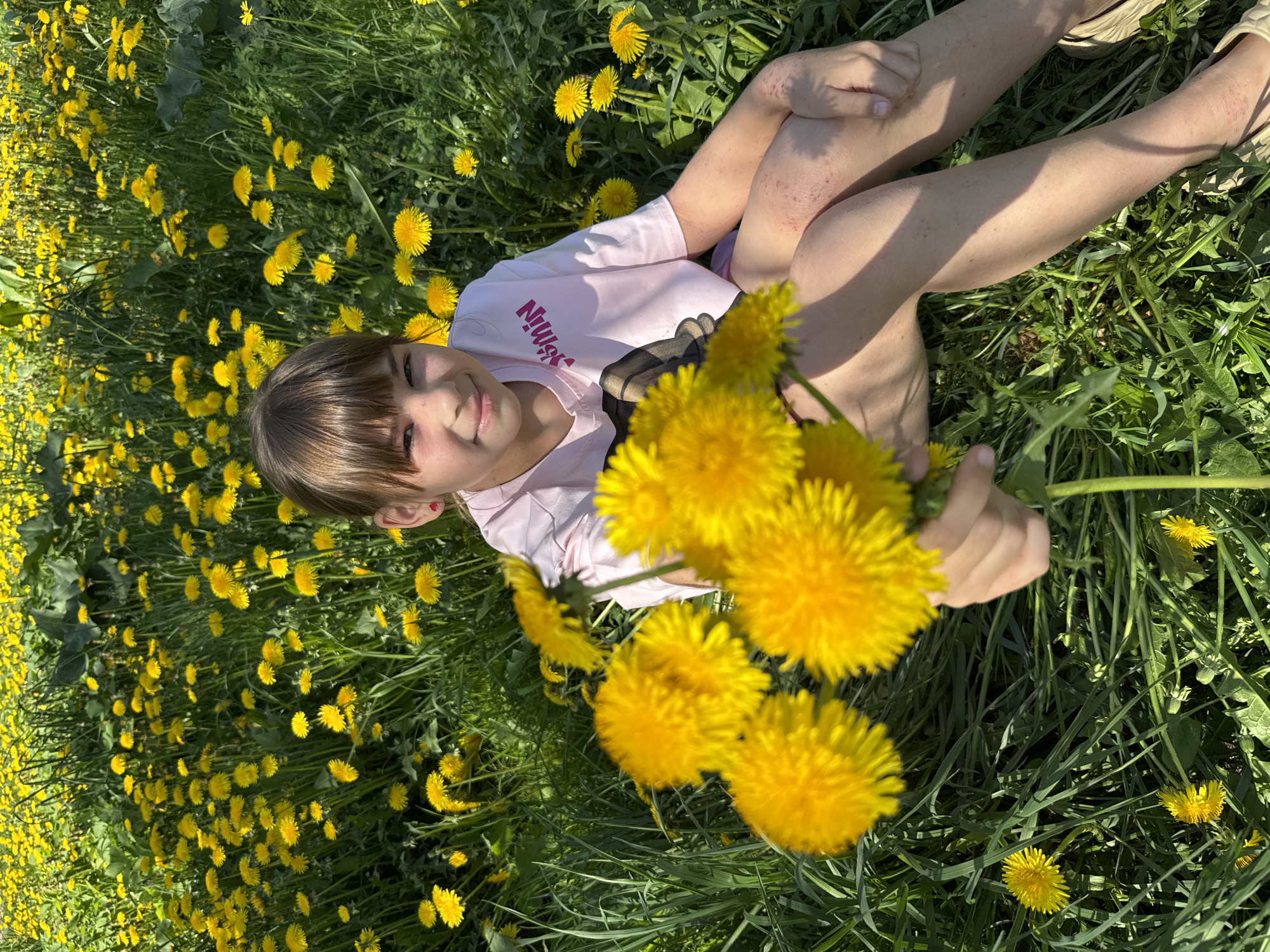 A young girl with brown hair and bangs is sitting in a field of dandelions, holding a bouquet of dandelions in her right hand. She is wearing a pink t-shirt and appears to be smiling. The field is full of yellow dandelions and green grass. The location is in a field, somewhere in the city of Unknown, Unknown.