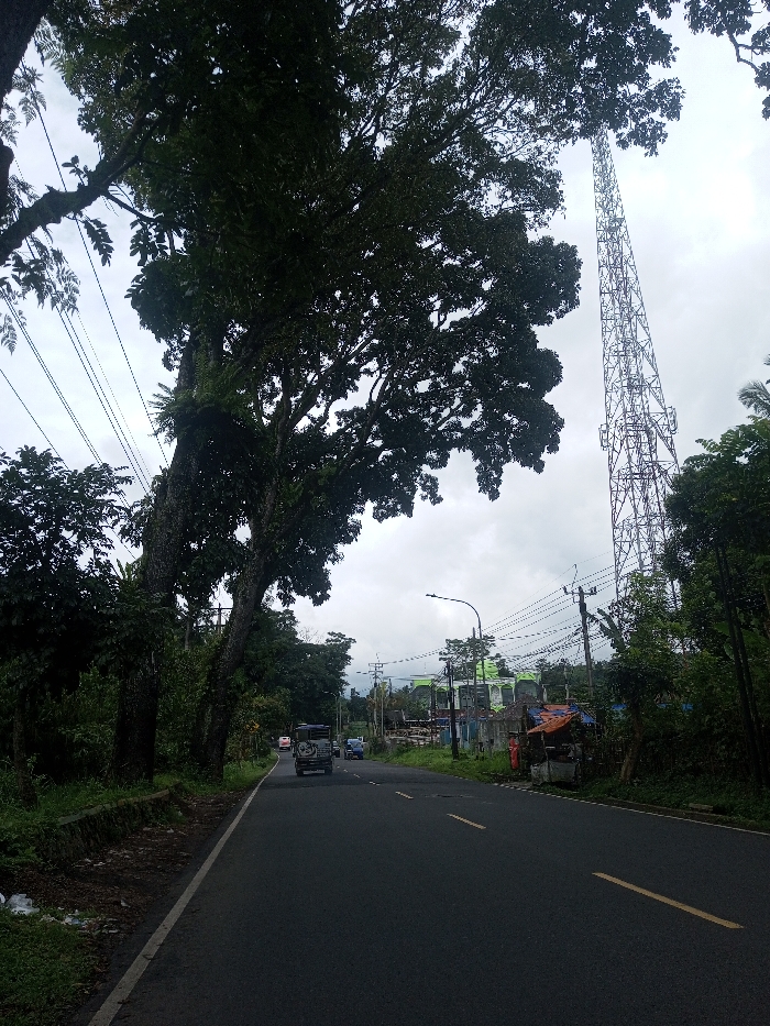 A wide-angle exterior view depicts a two-lane asphalt road in Ariyalai East, Sri Lanka, on an overcast day. The road, marked with faded double yellow center lines and a white shoulder line, recedes into the distance. A dark-colored SUV with a rear-mounted spare tire is in the left lane, followed by a red sedan. A blue sedan occupies the right lane. All vehicles are traveling away from the camera.
The left side of the road features a narrow, unpaved shoulder with grass and a low concrete curb, bordered by dense tropical vegetation including large trees with thick, dark green foliage, some exhibiting epiphytic growth like ferns. Multiple overhead power and communication lines are visible spanning across the scene, connecting to utility poles.
On the right side of the road, dense vegetation continues alongside several utility poles and a single street light. Further down, a cluster of simple structures, possibly commercial or residential, is visible, with one notable green-roofed building. Closer to the foreground on the right, a small roadside stall with an orange tarp roof stands adjacent to the road. Dominating the right background is a tall, metallic lattice-structure communication tower, extending significantly above the tree line against the uniformly cloudy sky. Distant hills are faintly visible through the atmospheric haze. No individuals are clearly discernible.