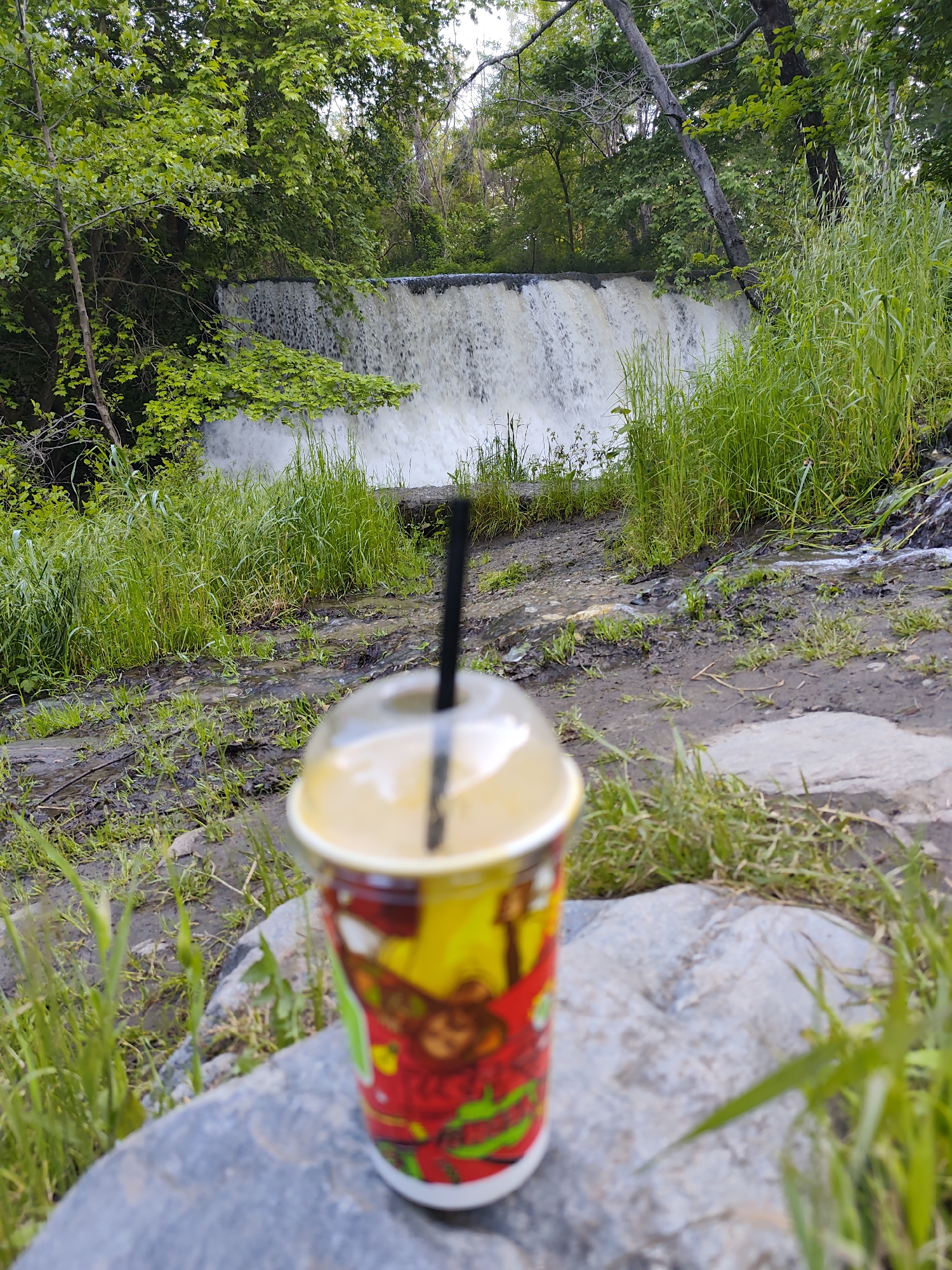 The image depicts a disposable cup with a lid and straw placed on a gray rock, likely outdoors. Behind the cup, there's a small waterfall, possibly man-made, against a backdrop of lush green trees and tall grass. The foreground shows dirt and more grass. Given the location of Parvenets, Bulgaria, without additional information, it is hard to know the exact waterfall depicted in the photo.