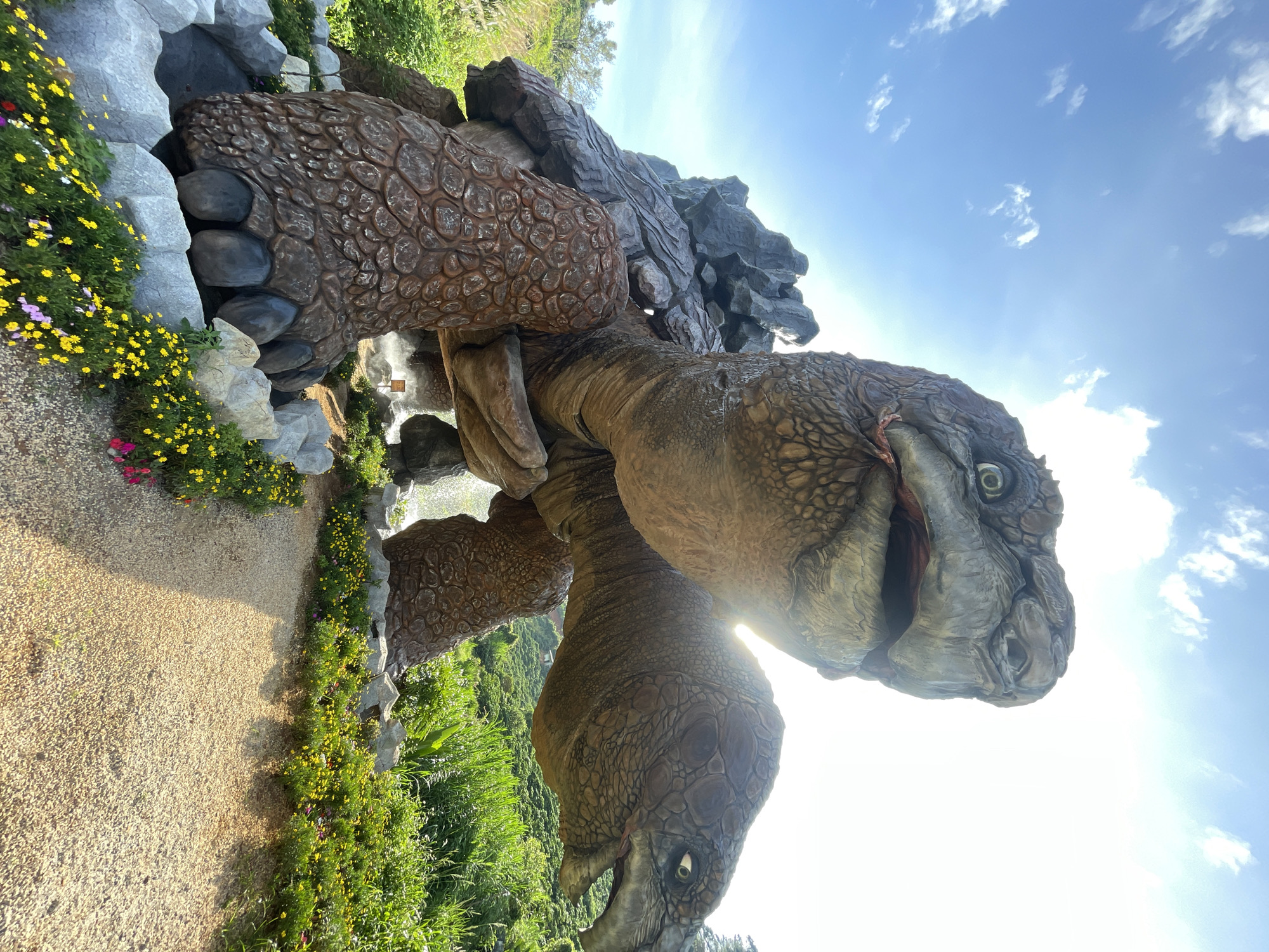 The image shows a large, realistic statue of a tortoise. The tortoise is posed with its head raised and mouth open, appearing to be looking up at the sky. Its shell is textured and appears to be made of rock-like material. The statue is situated outdoors, with a pathway leading towards it. The surrounding environment consists of lush green vegetation and a bright blue sky with scattered white clouds. The sun is visible, casting rays of light that create a lens flare effect. The statue appears to be a prominent feature in a park or tourist attraction, as indicated by the landscaping and pathway. The location is identified as Thôn 1, Vietnam, suggesting it's a specific spot within that region.