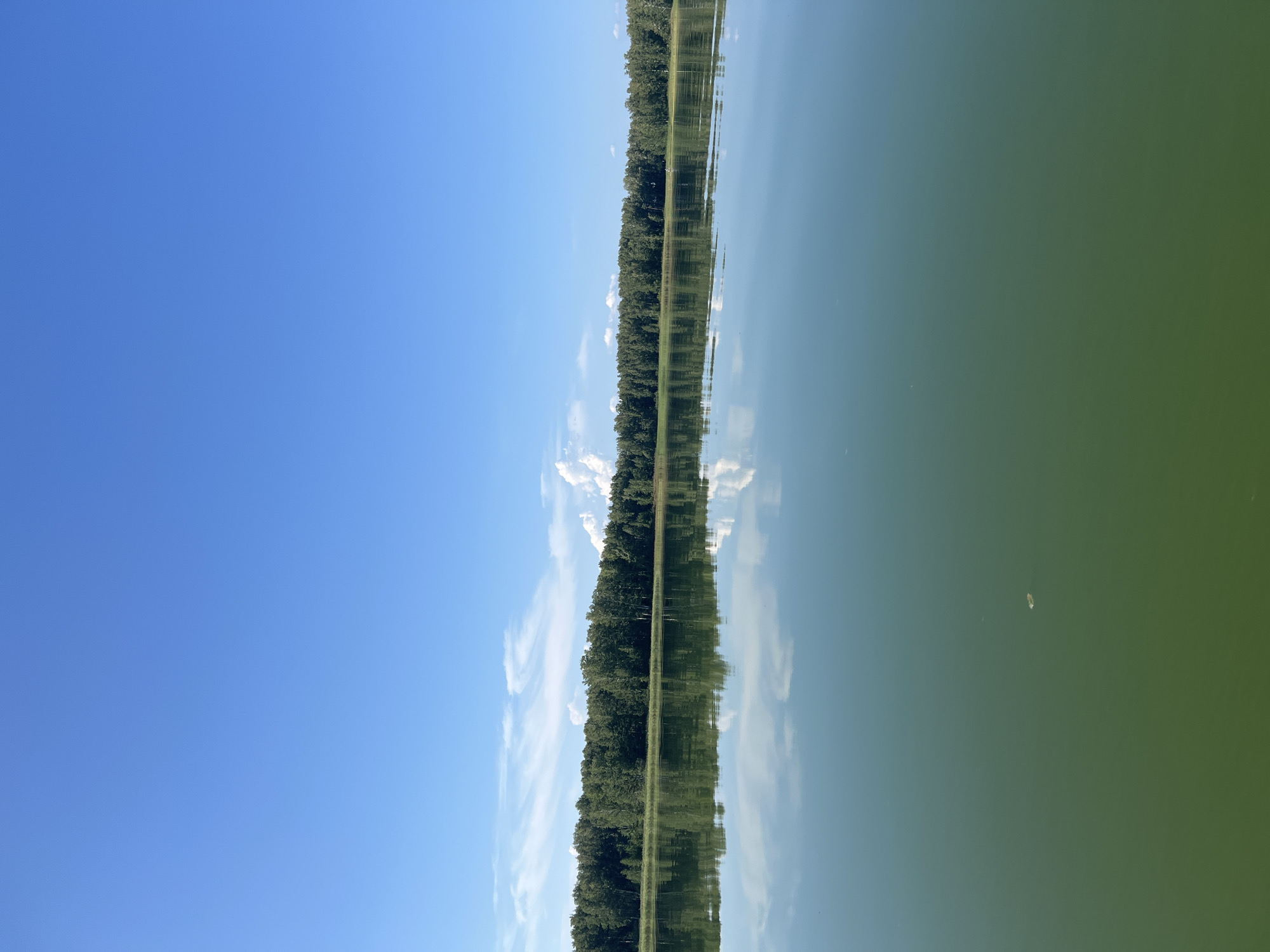 The image depicts a calm lake on a clear day, with a dense forest lining the opposite shore. The sky is a vibrant blue with scattered white clouds. The water is a greenish hue and reflects the trees and sky, creating a mirror-like effect. A small, light-colored object, possibly a leaf or debris, floats on the surface of the water in the foreground. The scene is tranquil and suggests a natural, undeveloped environment. The location is identified as Beregovoe, Russia.
