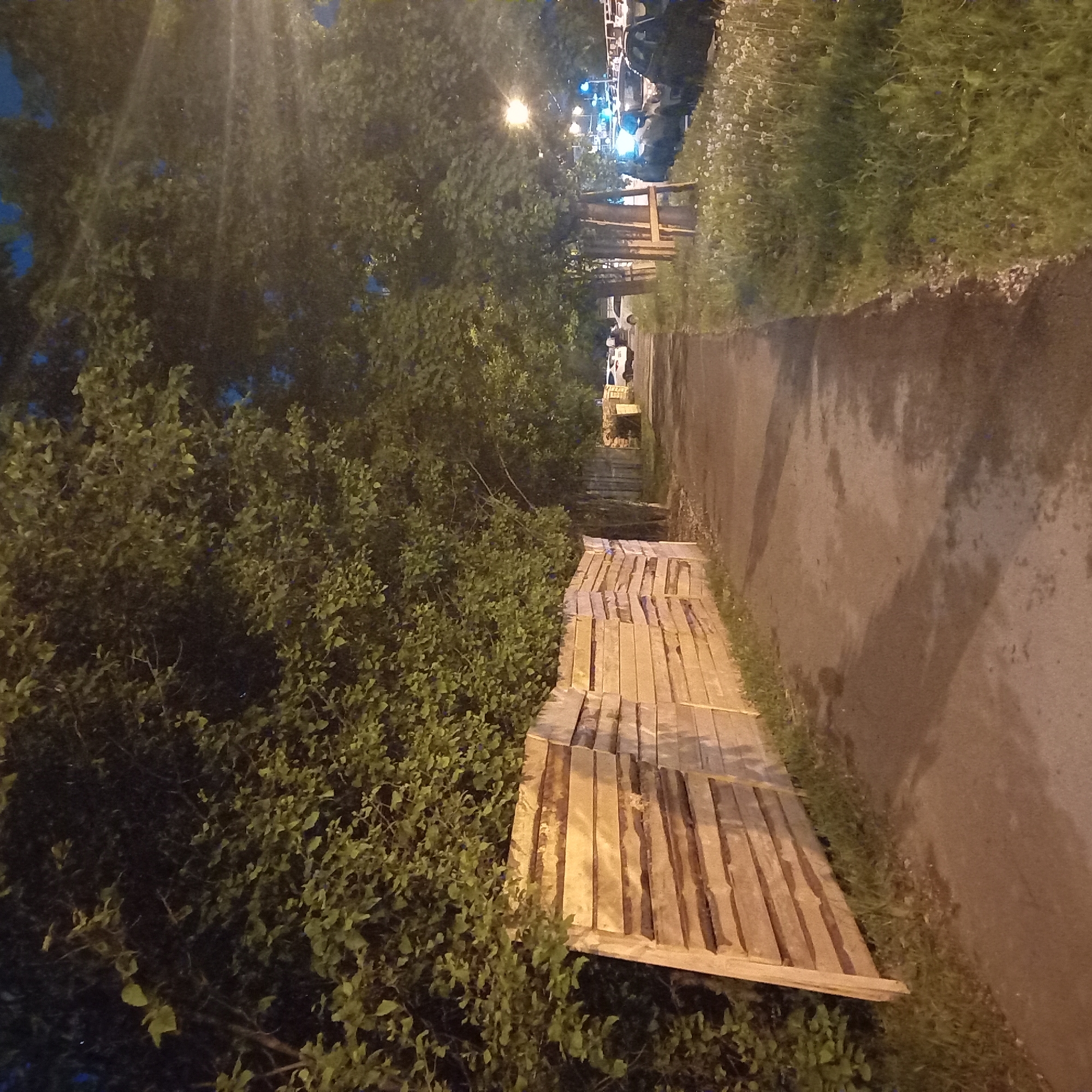 The image depicts a dimly lit alleyway or path at night, potentially in Moscow, Russia. A concrete walkway runs through the center of the frame, flanked by dense greenery and a wall on the right. Sections of wooden planks, possibly from dismantled pallets, are laid out on the left side of the path, alongside the vegetation. Streetlights are visible in the distance, casting a faint glow on the scene. There are parked cars at the end of the alleyway, and faint blue lights in the background.