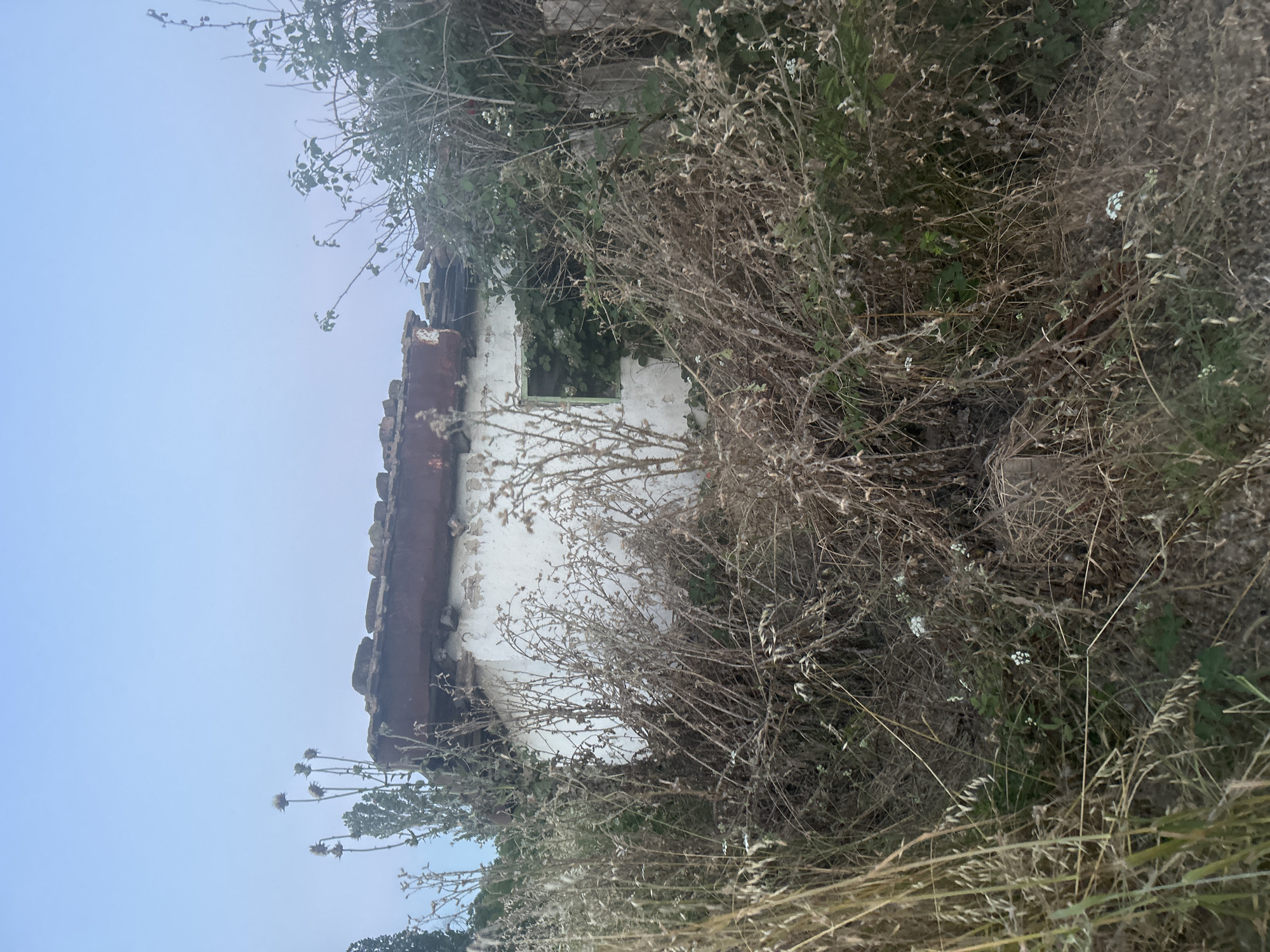 An abandoned, white-washed, single-story building with a damaged, tiled roof is overgrown with vegetation. The building has a single, empty window frame with green paint, and ivy is growing around it. The scene appears to be in a rural or semi-rural area, possibly on the outskirts of Burgas, Bulgaria, given the presence of dry, wild grasses and thorny bushes in the foreground. The sky is a pale, clear blue. There are no people or animals visible. The overall impression is one of neglect and decay.