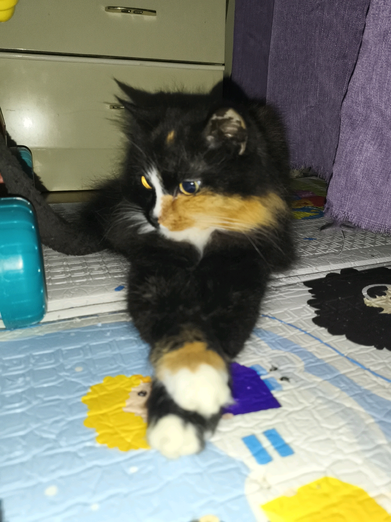 A calico kitten is lying down on a blue and white patterned mat. The kitten has black, white, and orange fur. Its eyes are open and yellow. The kitten's front paws are extended towards the camera. To the left of the kitten is a turquoise cylindrical object. Behind the kitten, there is a dresser with gold handles and a purple curtain. The background is dimly lit, and the floor appears to be tiled.