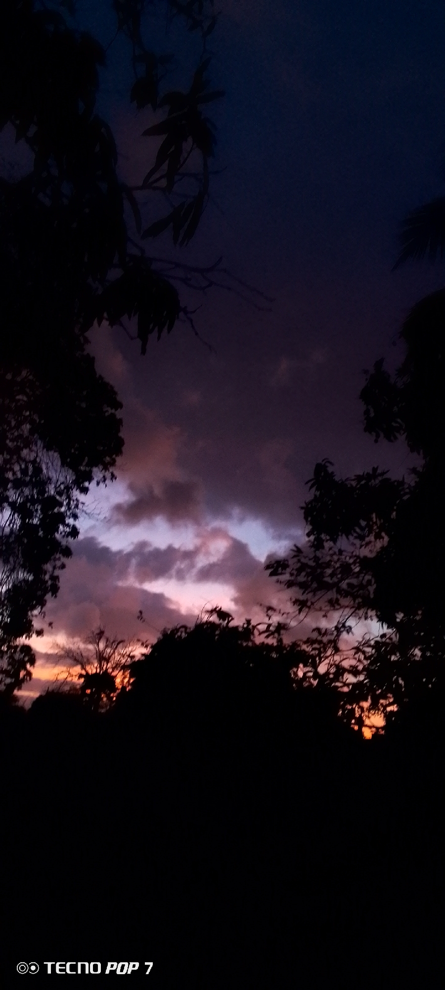 The image depicts a silhouette of trees against a twilight sky. The sky is a gradient of dark blue at the top, transitioning to purple and then to a warm orange glow near the horizon. Clouds are visible, tinged with pink and orange hues from the setting sun. The foliage of the trees is dark and indistinct, framing the sky. At the bottom of the image, the text "TECNO POP 7" is present, indicating the device used to capture the photograph. The scene appears to be an outdoor environment, likely at dusk, with no discernible human presence or specific landmarks to pinpoint a precise location within Altagracia, Venezuela.