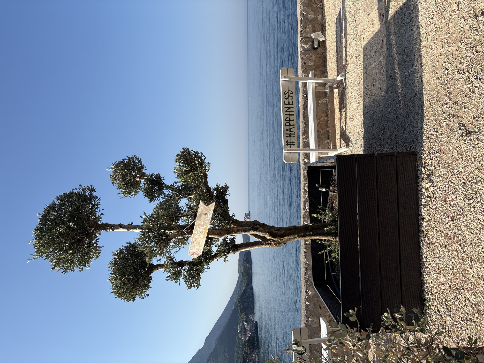 A topiary olive tree is planted in a dark wooden planter in the foreground. The tree has a rustic wooden sign attached to its trunk pointing towards the right. To the right of the tree is a white wooden bench with "#HAPPINESS" written on its backrest in black lettering. The scene overlooks the Adriatic Sea, with a mountain range visible in the background. The location is identified as Kamenovo, Montenegro. The sky is clear and blue, and the sun casts shadows on the gravel ground. There are no people visible in the image.
