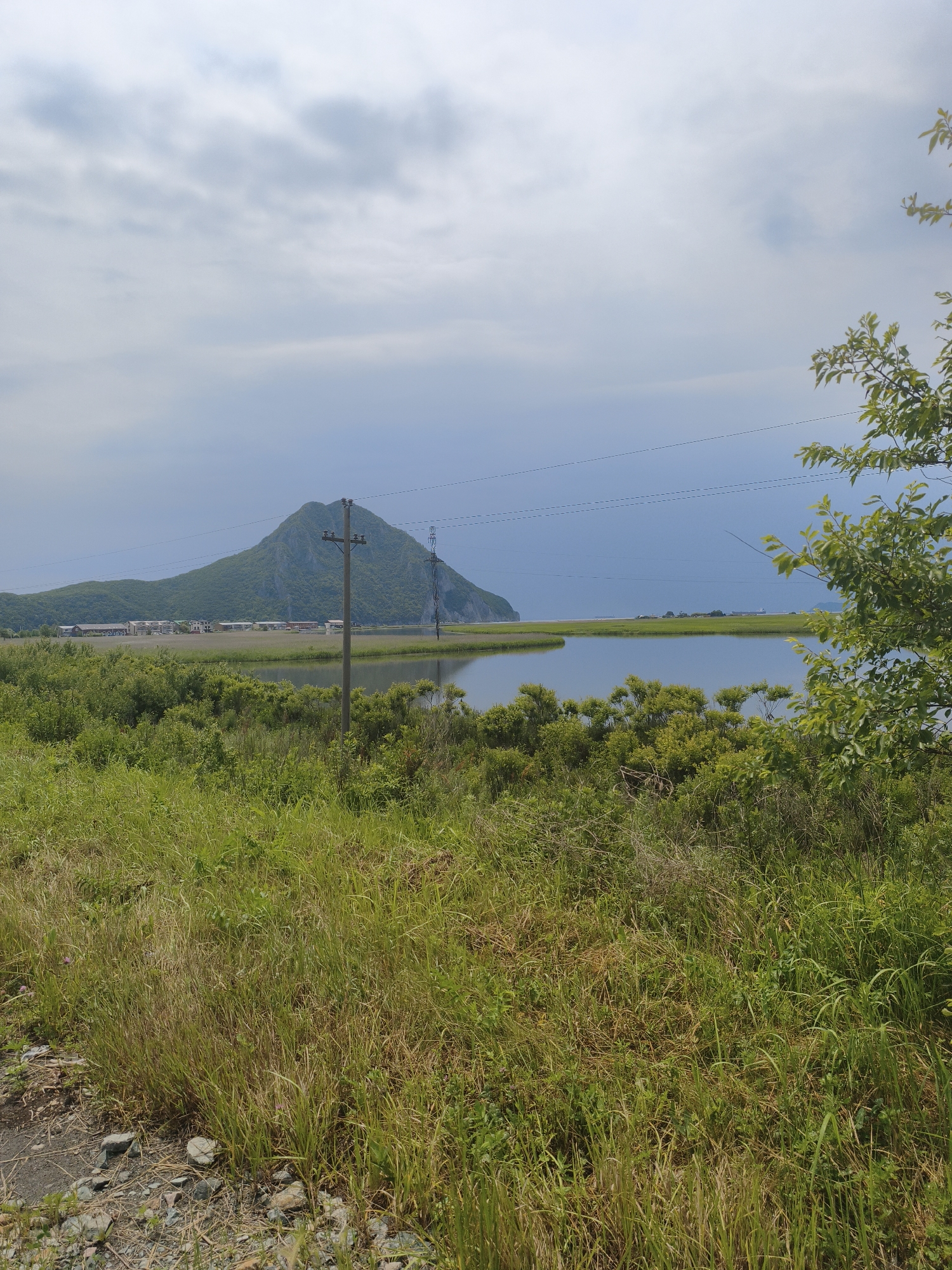 The image depicts a landscape scene featuring a body of water in the foreground, surrounded by lush green vegetation. In the distance, a prominent, tree-covered hill or mountain dominates the horizon. A line of buildings can be seen nestled at the base of the hill. Utility poles and power lines stretch across the scene, indicating human infrastructure. The sky is overcast with gray clouds. The overall setting suggests a natural environment with some signs of human habitation and development. This view is consistent with the landscape found along the coast of Nakhodka, Russia, potentially overlooking a bay or inlet with the distinctive silhouette of a coastal mountain.