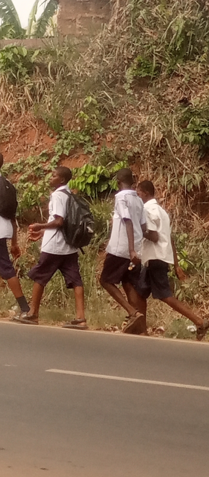 Four young males are depicted walking from left to right along the shoulder of an asphalt road in Ogidi, Nigeria. All are dressed in white short-sleeved shirts and dark-colored shorts, consistent with a school uniform. The first and third visible individuals from the left are wearing black backpacks. All visible individuals are wearing open-toed sandals or slippers. The road features a solid white lane marking parallel to the shoulder. To the right of the road, an elevated embankment exhibits exposed reddish-brown soil and a dense covering of mixed green and dry vegetation. In the upper left background, large green leaves, possibly from a banana plant, are visible behind a light-colored concrete block wall. The scene is illuminated by bright natural daylight.