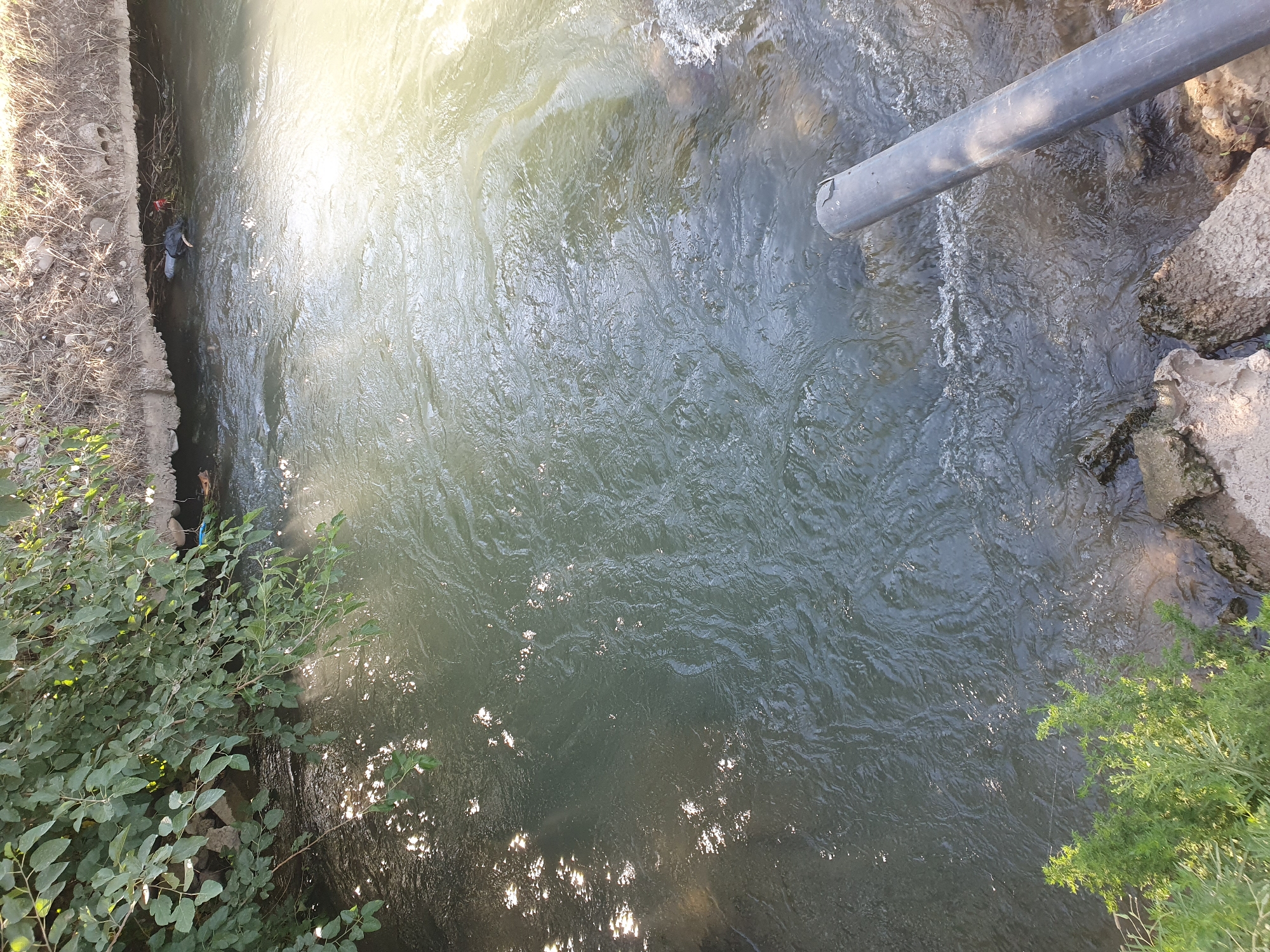 The image shows a narrow waterway flowing through a semi-urban or rural area, possibly a canal or small river. Overhanging vegetation, likely trees and bushes, casts dappled shadows on the water's surface. On the right side, a large, dark gray pipe protrudes into the water, appearing to be a drainage or discharge pipe. The water is murky with some ripples and turbulent areas, suggesting a moderate flow. The banks of the waterway are irregular and appear to be made of earth and rocks, with some concrete or stone elements visible. In the upper middle section of the image, partially submerged near the bank, is a dark object that resembles a body dressed in dark clothing, with some reddish material nearby. The general environment suggests a natural or semi-natural watercourse with some human infrastructure present. It is not possible to definitively identify the location as Tashkent, Uzbekistan, based solely on the visual information provided.