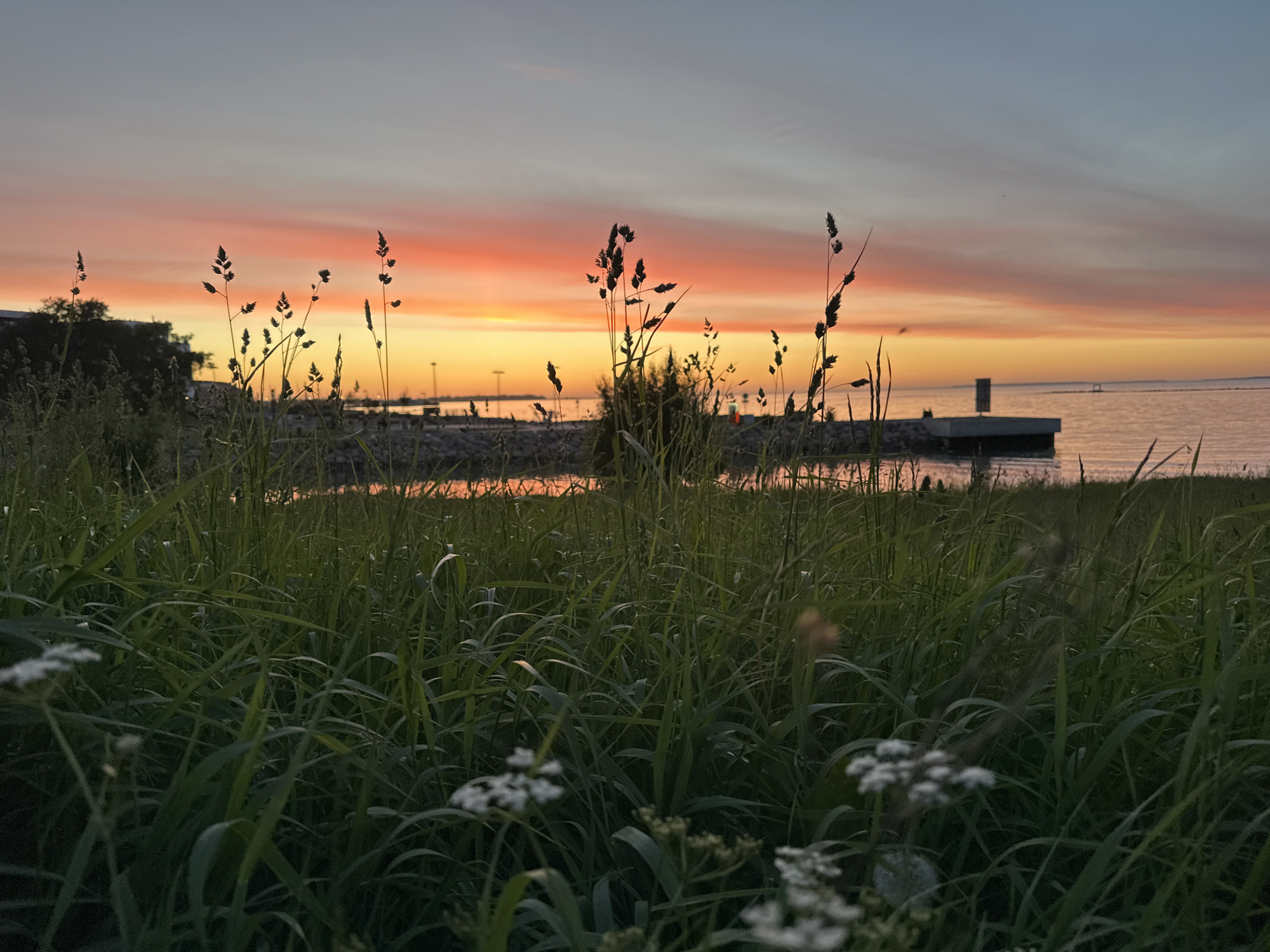 In Tallinn, Estonia, a tranquil sunset casts a warm glow over the city. The sky, a canvas of soft oranges, pinks, and blues, transitions into a serene twilight. Tall grasses and wildflowers dominate the foreground, their silhouettes stark against the vibrant horizon. In the distance, a pier juts into the calm waters, reflecting the fading light. The scene is devoid of any human activity, creating a peaceful and solitary atmosphere. The environment is natural and untouched, with the exception of the man-made pier and a few distant structures, hinting at the presence of urban life beyond the immediate natural landscape. The overall impression is one of quiet contemplation and the serene beauty of nature at dusk.