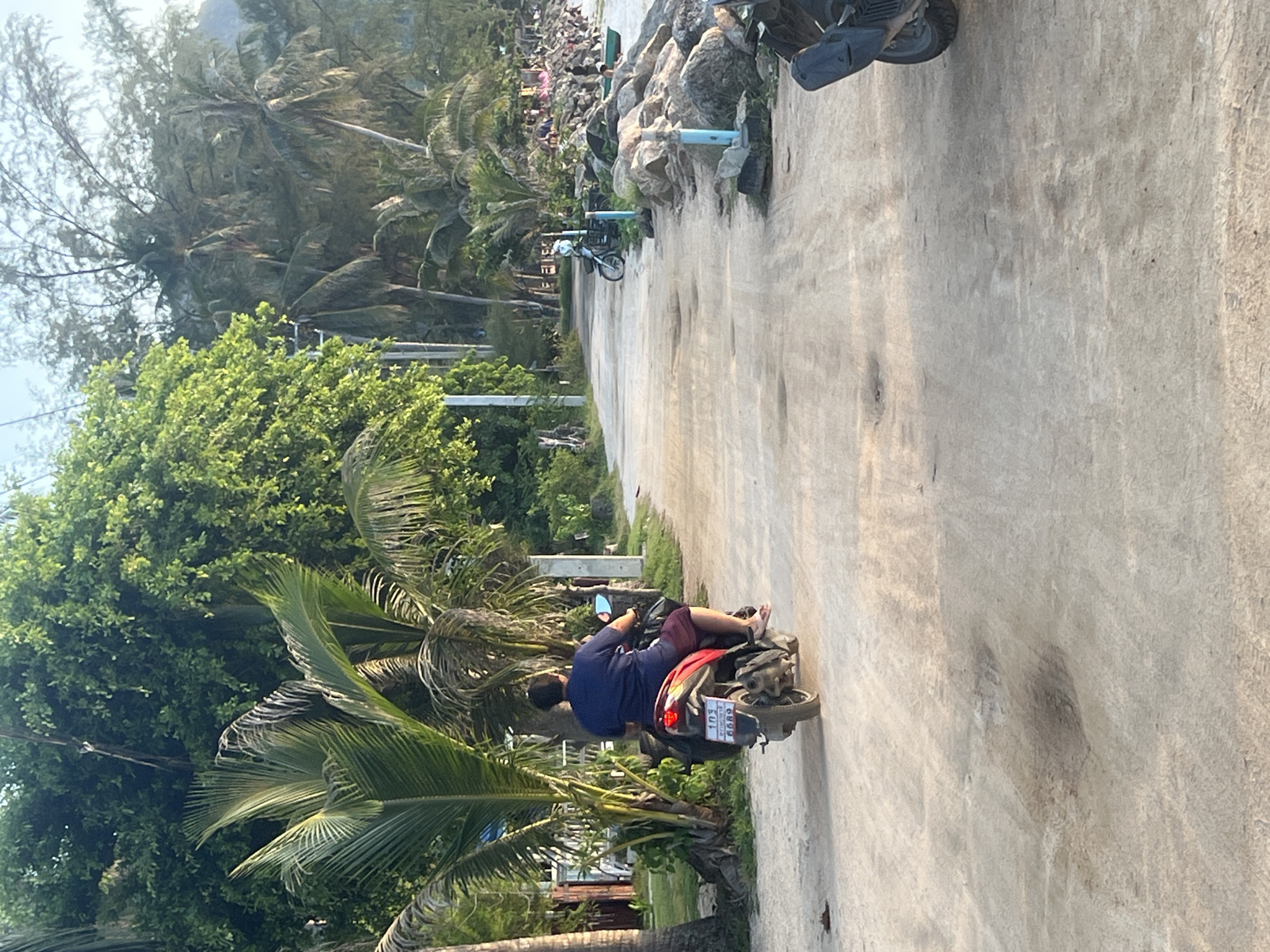 A person rides a scooter down a dirt road bordered by rocks and palm trees on the island of Koh Phangan, Thailand. The person, wearing a blue shirt and red shorts, is facing away from the camera. The scooter is red and has a license plate with Thai characters and the number 6689. The road appears to be a beach access road, with a rocky coastline visible to the right and dense vegetation to the left. In the distance, there are people gathered on the beach and palm trees. The lighting suggests it is either early morning or late afternoon.