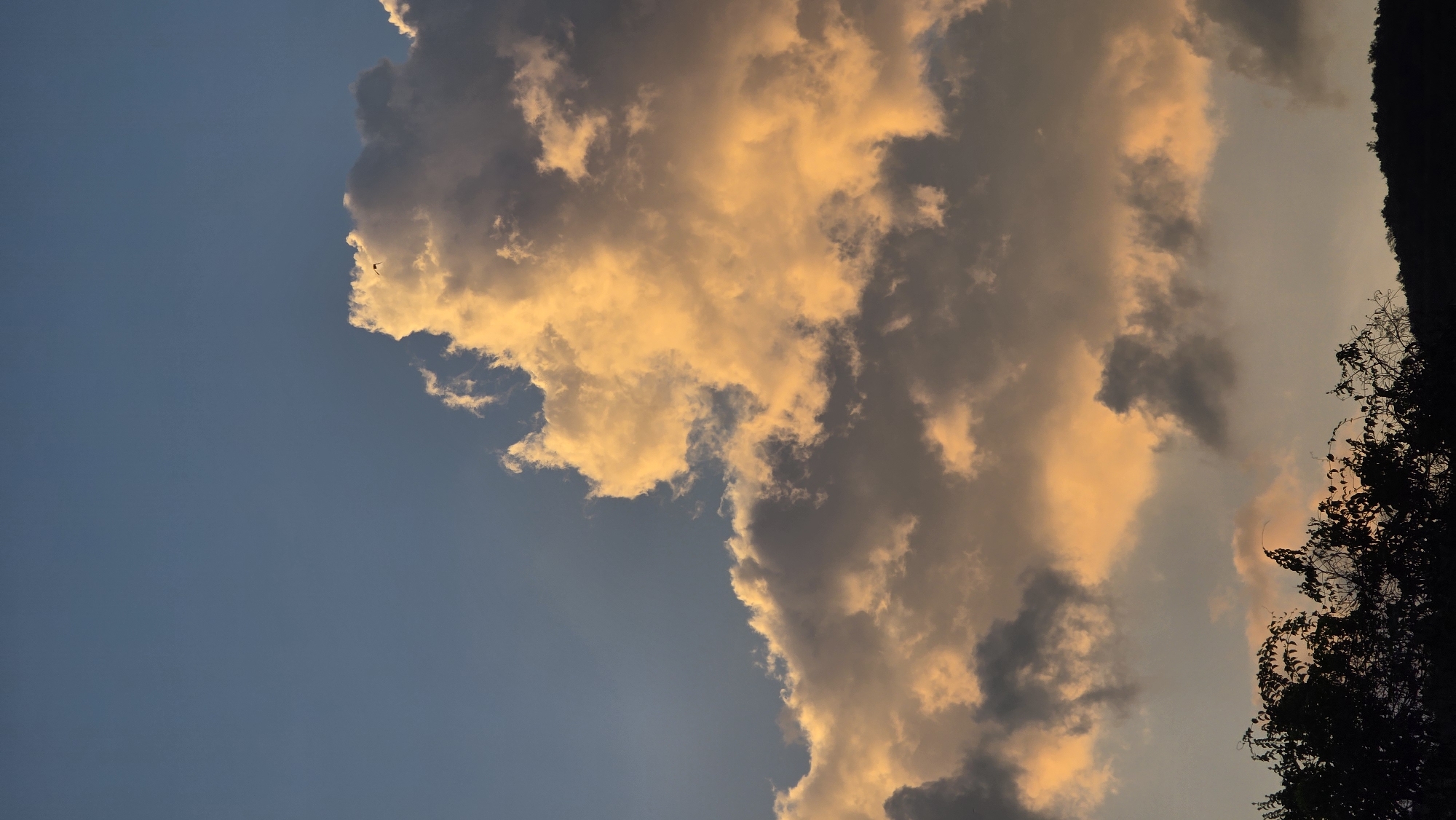 The image depicts a sky with golden-hued clouds. A patch of blue sky is visible on the left. On the right edge, there are silhouettes of trees and possibly a hilltop. The photo appears to have been taken in the late afternoon or early evening, evidenced by the color of the clouds. No people or specific objects indicating a location in Bac Nha Trang Ward, Vietnam are visible in the image.