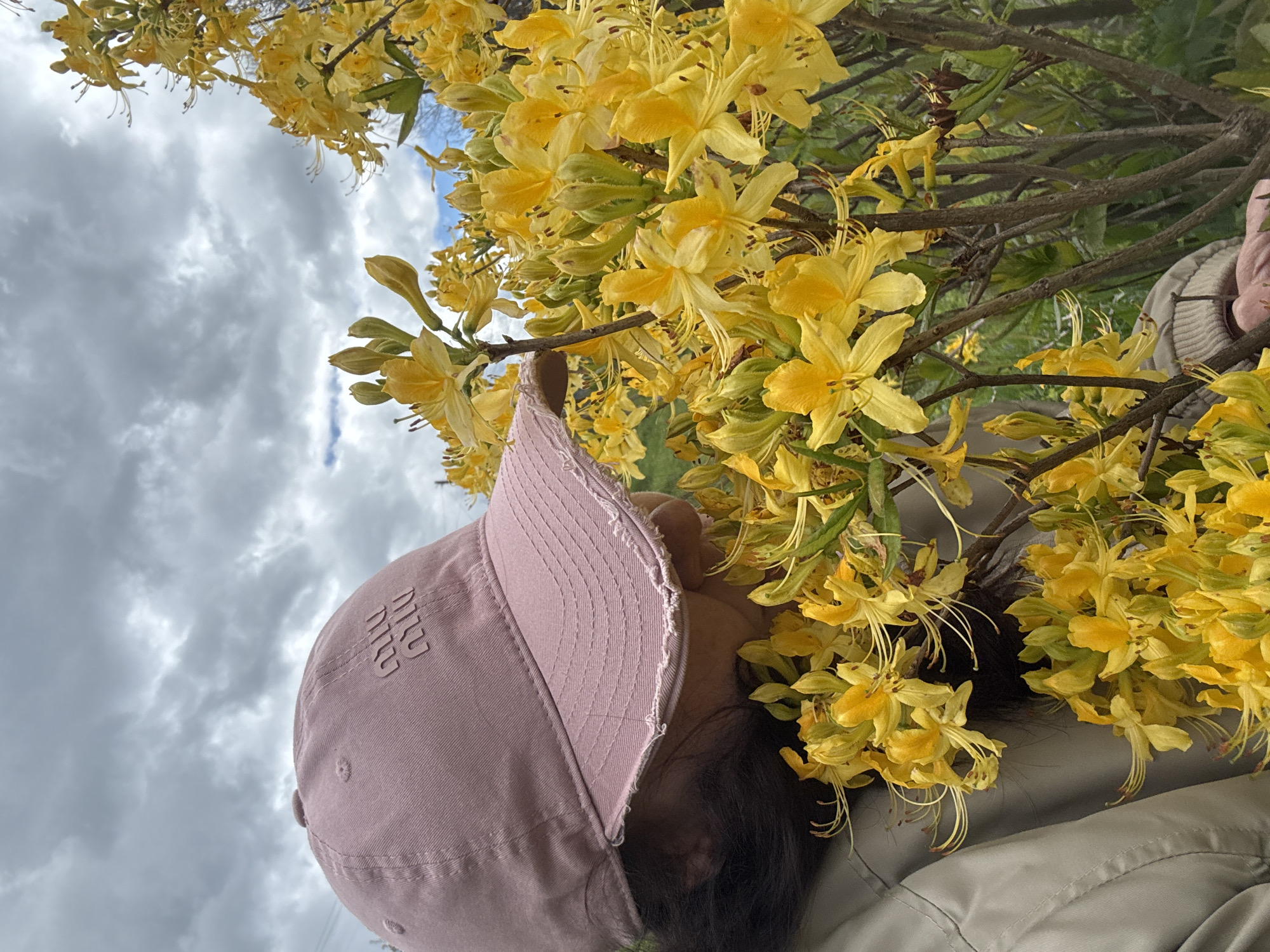 A low-angle shot captures a person wearing a pink baseball cap, partially obscured by bright yellow flowers. The flowers appear to be part of a bush or small tree, with branches visible among the blooms. The sky is cloudy. The location is Верхняя Мара, Russia.