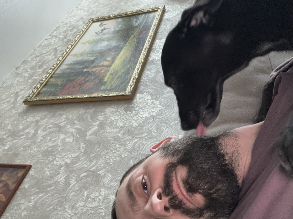 The scene depicts an interior setting, likely a residence, located in Reftinsky, Russia. A male individual, visible from the chest up, occupies the left side of the frame, facing slightly towards the camera. He has a dark, full beard and mustache, dark hair, and is wearing a dark-colored garment. Adjacent to him on the right, a black dog is seen with its head extended towards the man's lower face/beard, actively licking him with its tongue visible. The background features a wall covered in light-colored, ornate patterned wallpaper. Two framed pictures are mounted on this wall: one partially visible in the upper left corner with a reddish-brown frame, and a larger, horizontally oriented picture in a decorative gold frame centered on the upper right. The larger picture depicts a natural landscape with a cabin, trees, and flying birds.