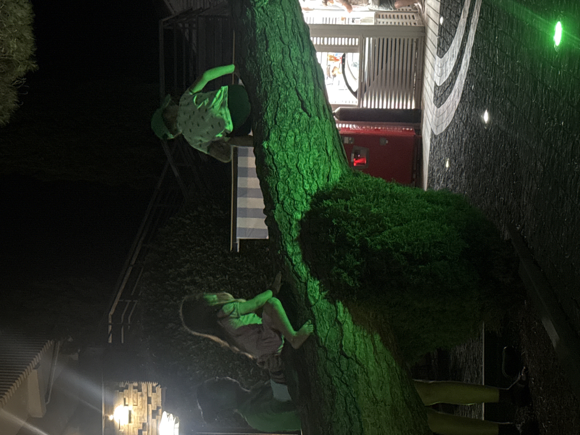 This image depicts an outdoor scene at night, illuminated by green lights and ambient lighting. In the foreground, a large, thick tree branch spans across the frame, with two children visible on it. A young girl in a light-colored dress is crouched on the branch, facing to the right. To her left and slightly behind her, another child, partially obscured, is seated. Further to the right, a child wearing a green cap and a t-shirt with a pattern is perched on the branch, facing away from the camera. The branch itself is textured and appears to be part of a large tree, with foliage visible below and to the left.
In the background, there are various elements of urban infrastructure. To the left, a building with brickwork and lighting is visible. A vending machine, red in color, is also present. Further to the right, a structure with horizontal slatted panels, possibly a kiosk or a building facade, is illuminated. The ground is paved with dark stones, featuring decorative white curved patterns and small embedded lights. In the far right, a person's legs and lower body are visible, suggesting another individual is present. The overall impression is of a public space or recreational area at night, possibly in the city of Yalta, Ukraine, where the green lighting adds a distinct, artificial ambiance to the natural and man-made elements.