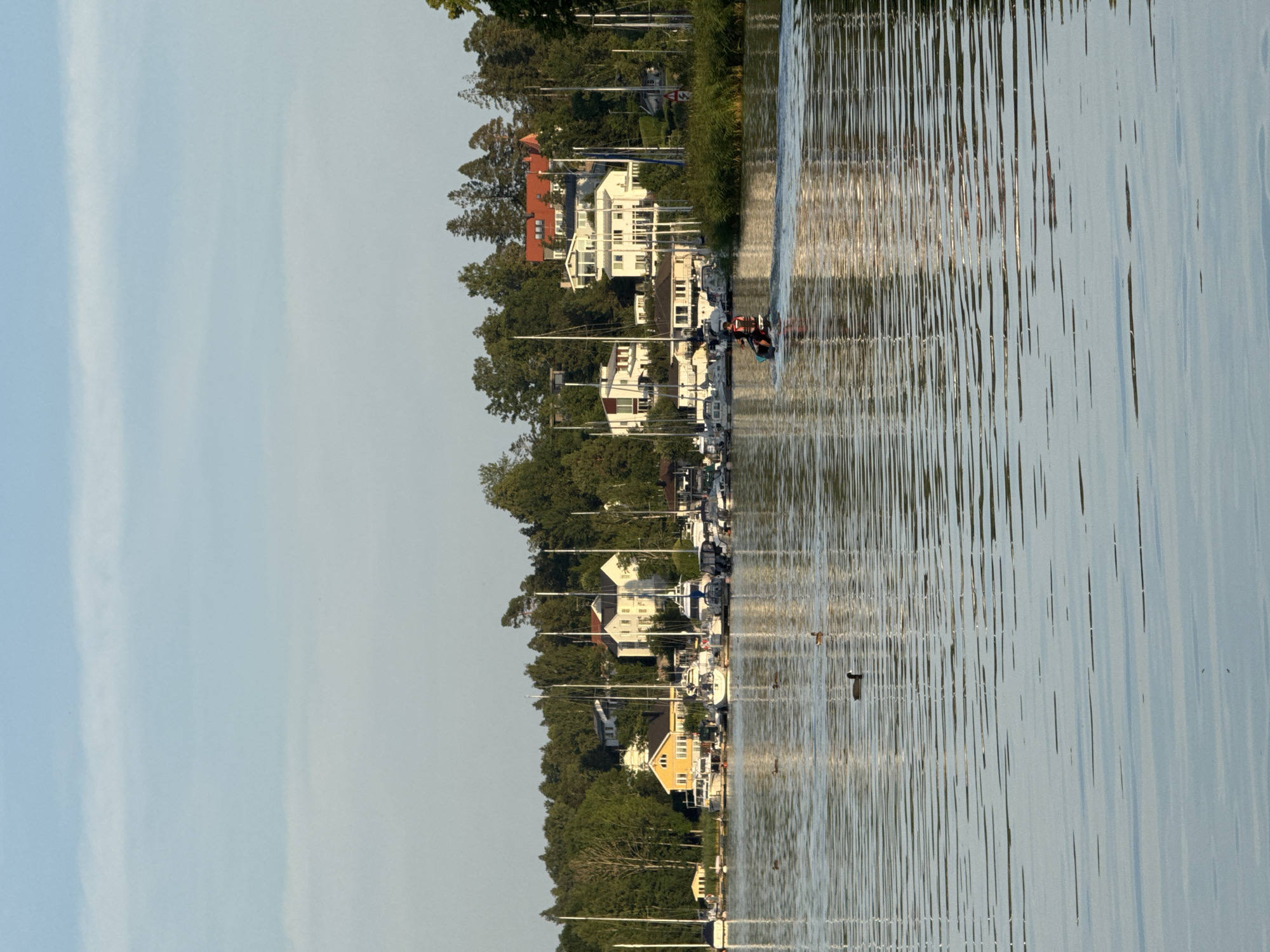 The image depicts a serene waterscape with a backdrop of a picturesque residential area and lush greenery, likely in Åkersberga, Sweden, given the style of architecture and the surrounding natural environment. The foreground is dominated by calm water with subtle ripples reflecting the light. Several ducks are scattered across the water's surface. In the middle ground, a person is riding a personal watercraft, leaving a wake behind them. Beyond the water, a marina is visible, filled with numerous sailboats and smaller motorboats docked. Behind the marina, a cluster of houses and buildings are nestled amongst dense trees, with some featuring red and white roofs. The sky above is a clear, soft blue with a few wispy clouds. The overall impression is one of a peaceful summer day in a coastal or lakeside community.