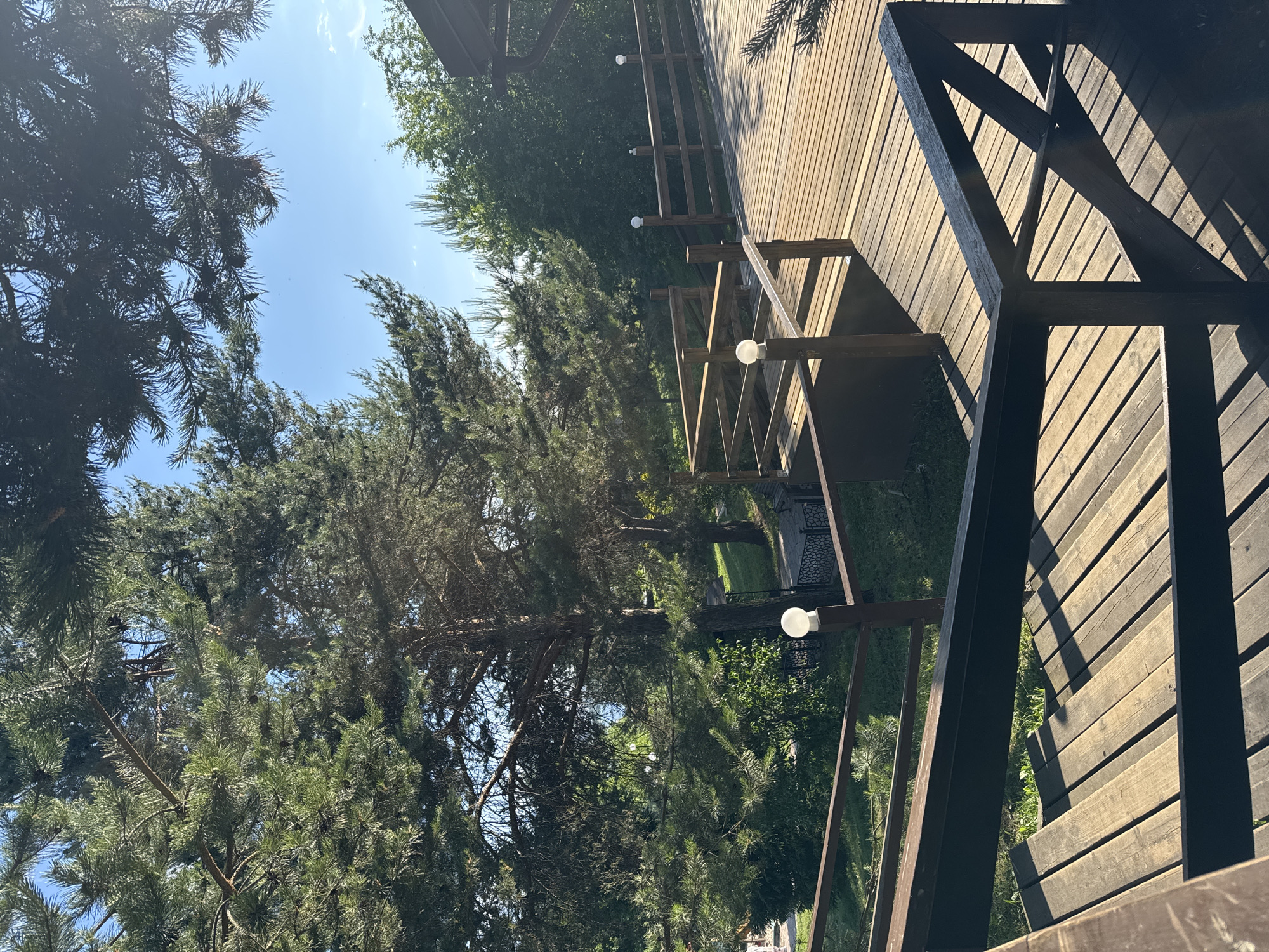 The image displays an elevated wooden deck and staircase overlooking a lush, wooded landscape under clear daylight in Izhevsk, Russia. In the foreground, a dark-stained wooden deck features robust railings and a descending staircase on the left, all exhibiting strong shadows from direct sunlight. Multiple spherical white light fixtures are mounted on the railing posts. The midground is dominated by dense green coniferous trees, primarily pines, with interspersed deciduous foliage. A winding wooden walkway or path, equipped with similar railings and light fixtures, meanders through the vegetation. A black metal fence with decorative patterns is visible near this path. In the background, a clear, bright blue sky with minimal cloud cover stretches above the tree line, with a subtle glimmer of a distant open area, possibly water, discernible through the trees in the central background. No individuals are present in the scene. The overall environment suggests a well-maintained outdoor recreational or park area.