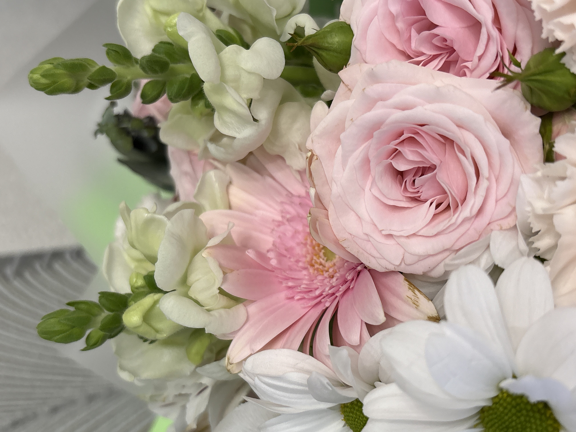 The image shows a close-up of a floral arrangement. Dominant flowers include light pink roses with tightly curled petals, a pink gerbera daisy with delicate, long petals, white snapdragons, and white chrysanthemums with layered petals. The green buds and stems of some of the flowers are also visible. The flowers are clustered together tightly. The setting is likely indoors, possibly in a shop or home. The location being Izhevsk, Russia is not verifiable from the image.