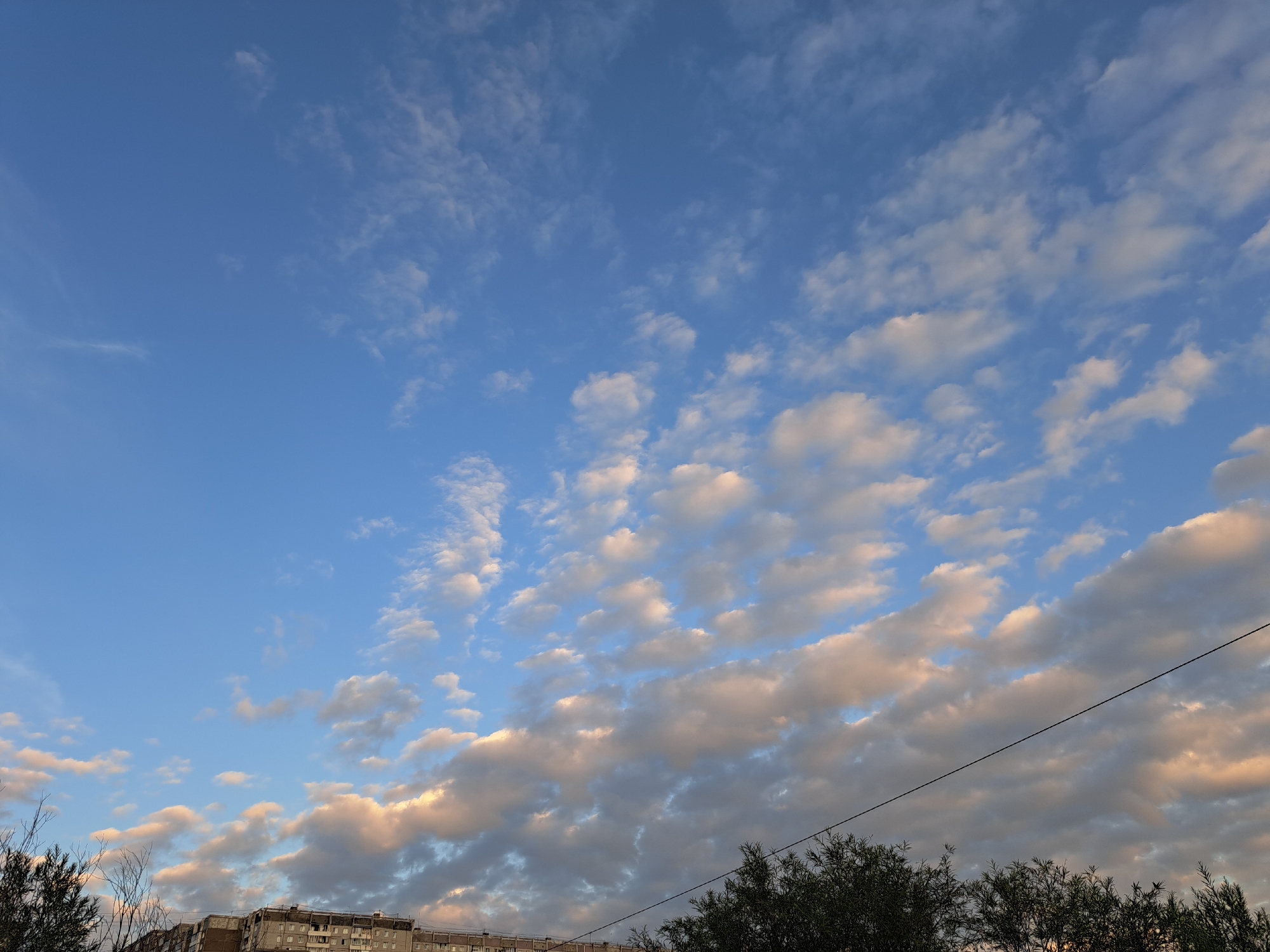 The image captures a late afternoon sky over the city of Irkutsk, Russia, with a clear blue expanse dotted with scattered, fluffy white and pinkish clouds, illuminated by the setting sun. Below the sky, a multi-story, Brutalist-style apartment building is visible, its facade a muted grey. Dark green trees frame the bottom of the image, and a thin, dark power line stretches diagonally across the lower right portion of the frame. The overall scene suggests a calm, everyday urban environment at dusk.