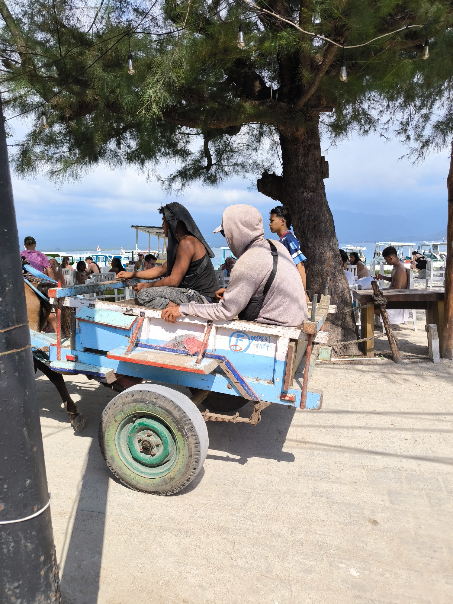 Observed in the city of Unknown, Indonesia, is a vibrant outdoor scene featuring a horse-drawn cart. The cart, primarily blue with red and white accents, accommodates two individuals. The person at the front is wearing a dark tank top and a hood. Behind him sits another individual in a hooded grey jacket. The cart's wheel has a green tire.
A large tree is located beside the cart, with decorative string lights strung through its branches. The background shows a beach with people, boats, and tables with people sitting at them under shelters, suggesting a seaside dining or recreational area. In the distance, a mountain can be seen. The flooring beneath the cart and tree appears to be concrete.