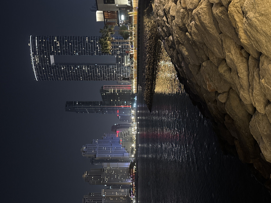 Night cityscape reflecting on water. Skyscrapers with illuminated windows line the horizon. Close to the frame's right edge, a rocky land formation dominates. Water ripples beneath, mirroring the city lights. Dark sky contrasts with the brightness of the urban landscape and the rock's texture, creating a blend of natural and artificial elements.