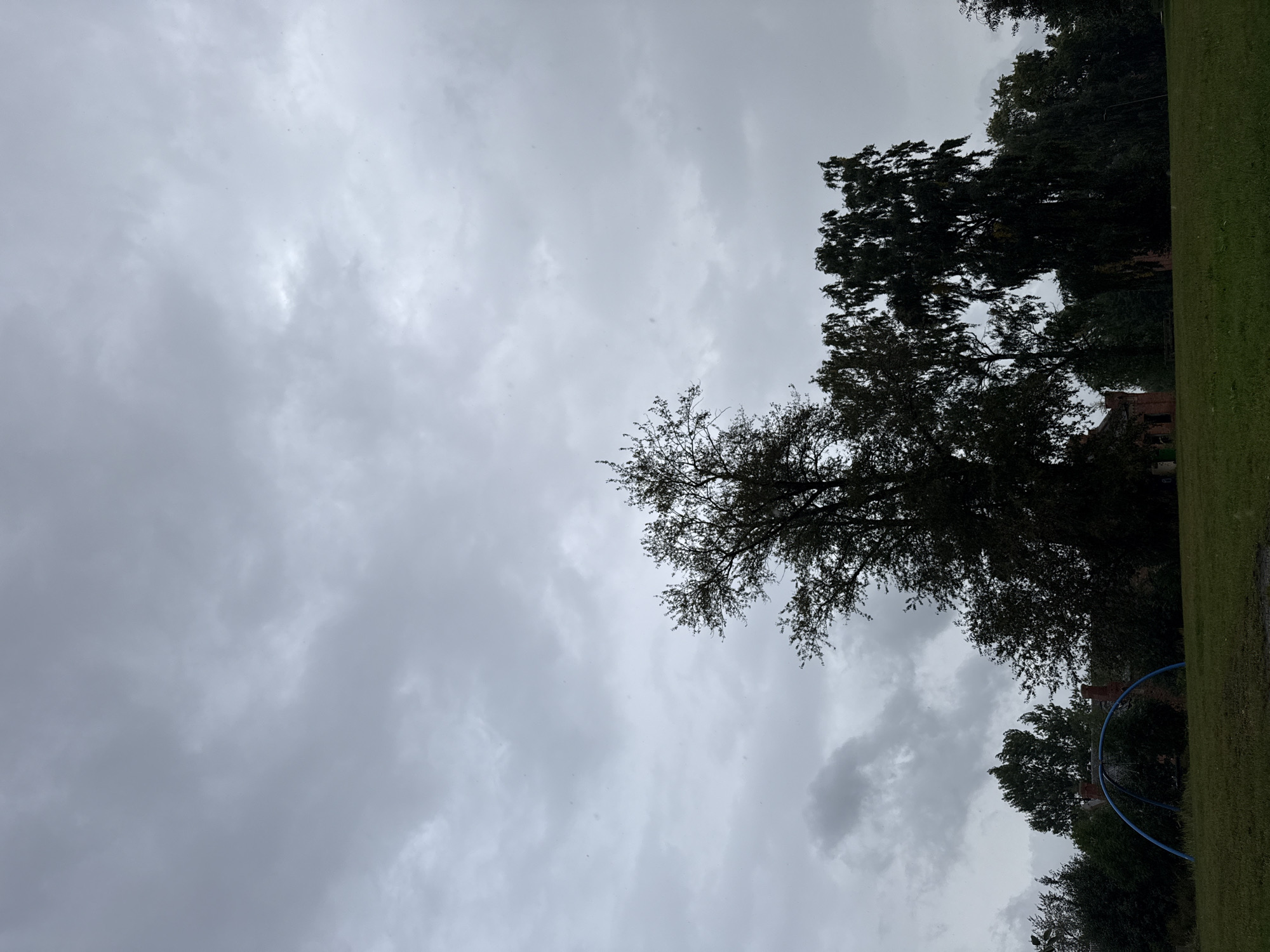 A wide shot captures a park area under a heavily overcast sky. The foreground consists of a mowed green lawn. In the midground, a cluster of trees stands, with the tallest trees silhouetted against the sky, their foliage dense and dark. To the left, a blue, semi-circular playground structure is visible on the grass. In the background, partially obscured by trees, is a red brick building with visible windows. The overall atmosphere is somber and muted due to the lack of sunlight. The scene is devoid of any people or animals. The location is identified as Tallinn, Estonia.