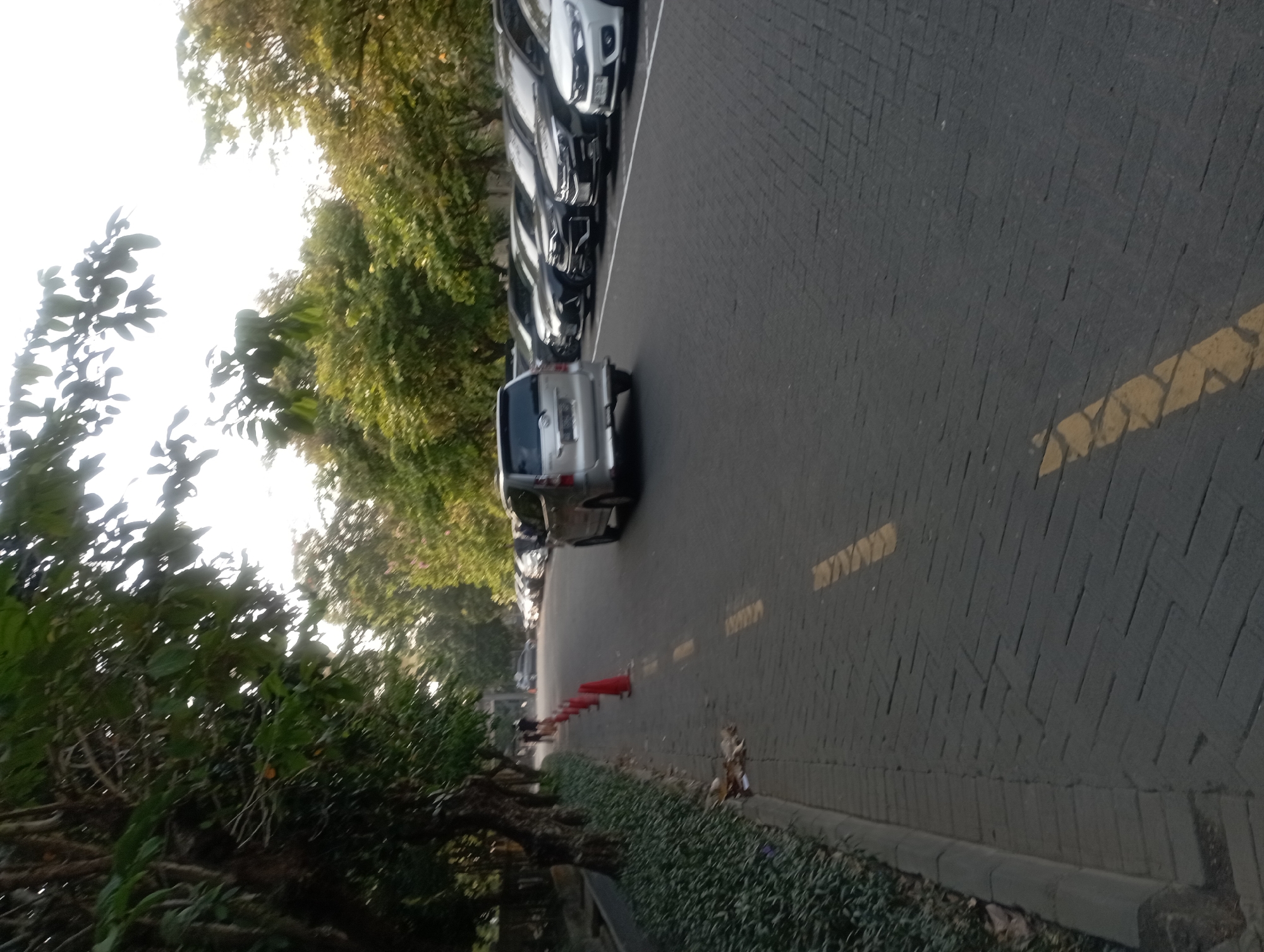 The image depicts a roadside in Depok, Indonesia, characterized by a paved road with yellow lane markings and a walkway lined with trees and bushes. Several cars are parked along the road, and a silver minivan is in motion. Orange traffic cones are placed along the edge of the road, possibly for demarcation or temporary traffic management. The presence of lush green foliage suggests a well-maintained urban or semi-urban environment. The lighting indicates it's daytime, with the sun creating some glare in the sky.
