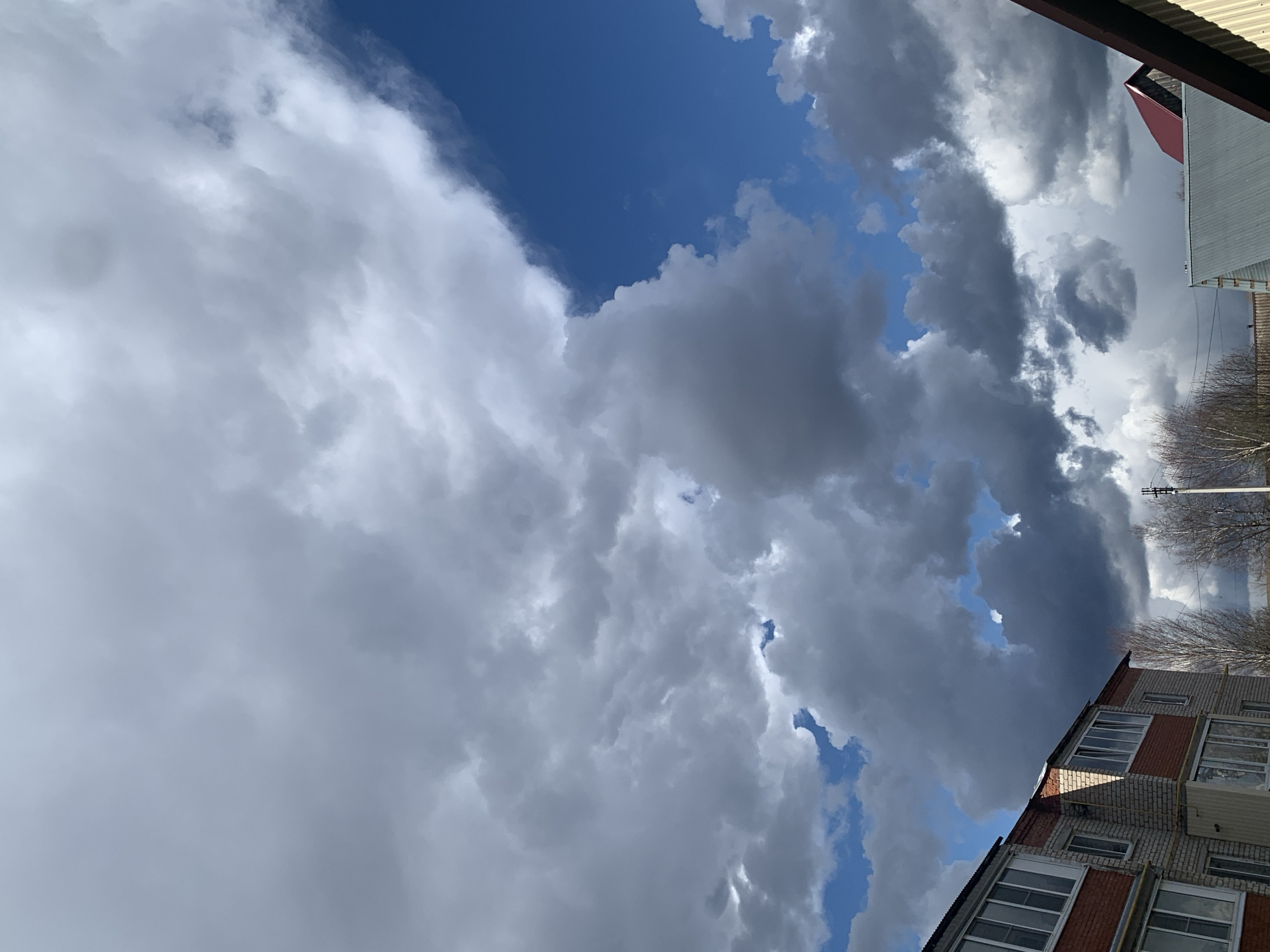 The image captures a dramatic daytime sky filled with contrasting cloud formations over a residential area. In the upper part of the frame, patches of deep blue sky are visible, hinting at clearer weather amidst the extensive cloud cover. The majority of the sky is dominated by a complex interplay of clouds, ranging from soft, bright white and light grey, particularly on the left side, to much darker and denser shades of grey on the right, suggesting a dynamic weather front or an approaching storm. Sunlight appears to be catching the edges of some of the darker clouds, creating bright highlights.
Towards the bottom right of the image, a multi-story building, likely an apartment block, is partially visible. It features distinct brickwork on its lower sections and lighter-colored concrete or siding above, with numerous windows and balconies. The top edge of another building, possibly a roofline, can be seen along the bottom left. Further to the right, amidst the clouds and behind the building, the bare branches of deciduous trees and a slender utility pole or power line structure are discernible. The absence of foliage on the trees suggests the season is either late autumn, winter, or early spring. The scene is illuminated by daylight, and no visible text is present.