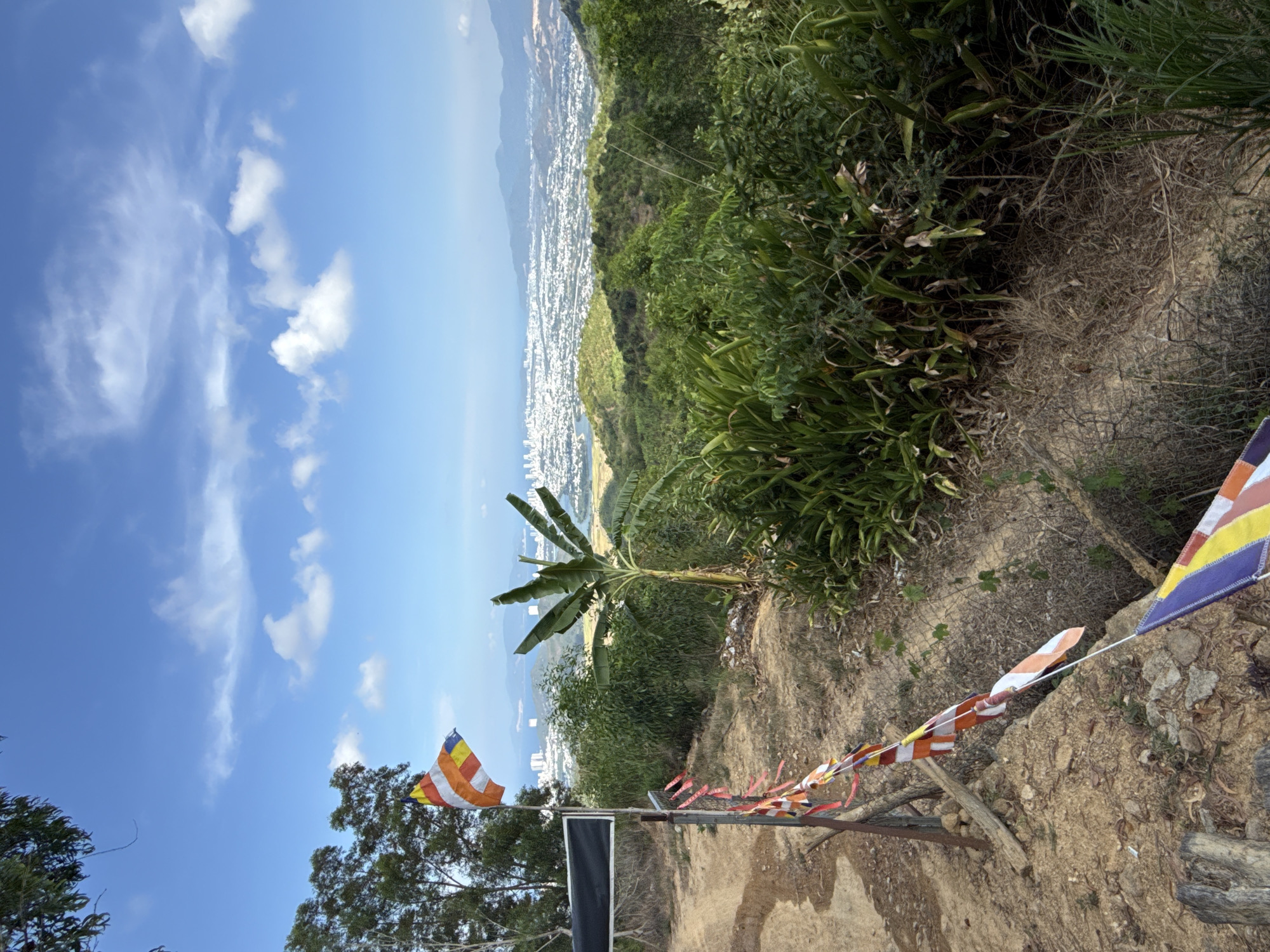 This image captures a vibrant daytime scene from a hillside vantage point in Tay Nha Trang Ward, Vietnam. The perspective overlooks a sprawling coastal city and a vast expanse of water, backed by distant mountains, under a bright blue sky dotted with white clouds.
In the immediate foreground, a dirt path is visible, leading downwards on the right. This path is adorned with colorful Buddhist prayer flags, featuring horizontal stripes of red, orange, yellow, blue, and white. These flags are strung on a rope or wire that stretches across the path, with some attached to a rustic wooden post. A plain black rectangular flag or banner is also affixed to this post.
The middle ground is characterized by dense, verdant vegetation, including various shrubs and trees. A prominent banana tree with large, broad leaves stands out against the distant cityscape, contributing to the tropical feel of the environment. The ground surrounding the path is a mix of dry earth, rocks, and sparse, low-lying plants.
The background reveals a bustling city extending along the coast, with numerous light-colored buildings clustering together. Beyond the urban area, the calm blue waters of a bay or the ocean meet the distant, hazy outlines of mountains on the horizon. The bright, clear sky and strong sunlight suggest it is either morning or early afternoon, indicating pleasant weather. The presence of the Buddhist prayer flags implies a cultural or spiritual significance to this location, possibly a route to a temple or a revered viewpoint. No visible text is discernible in the image.