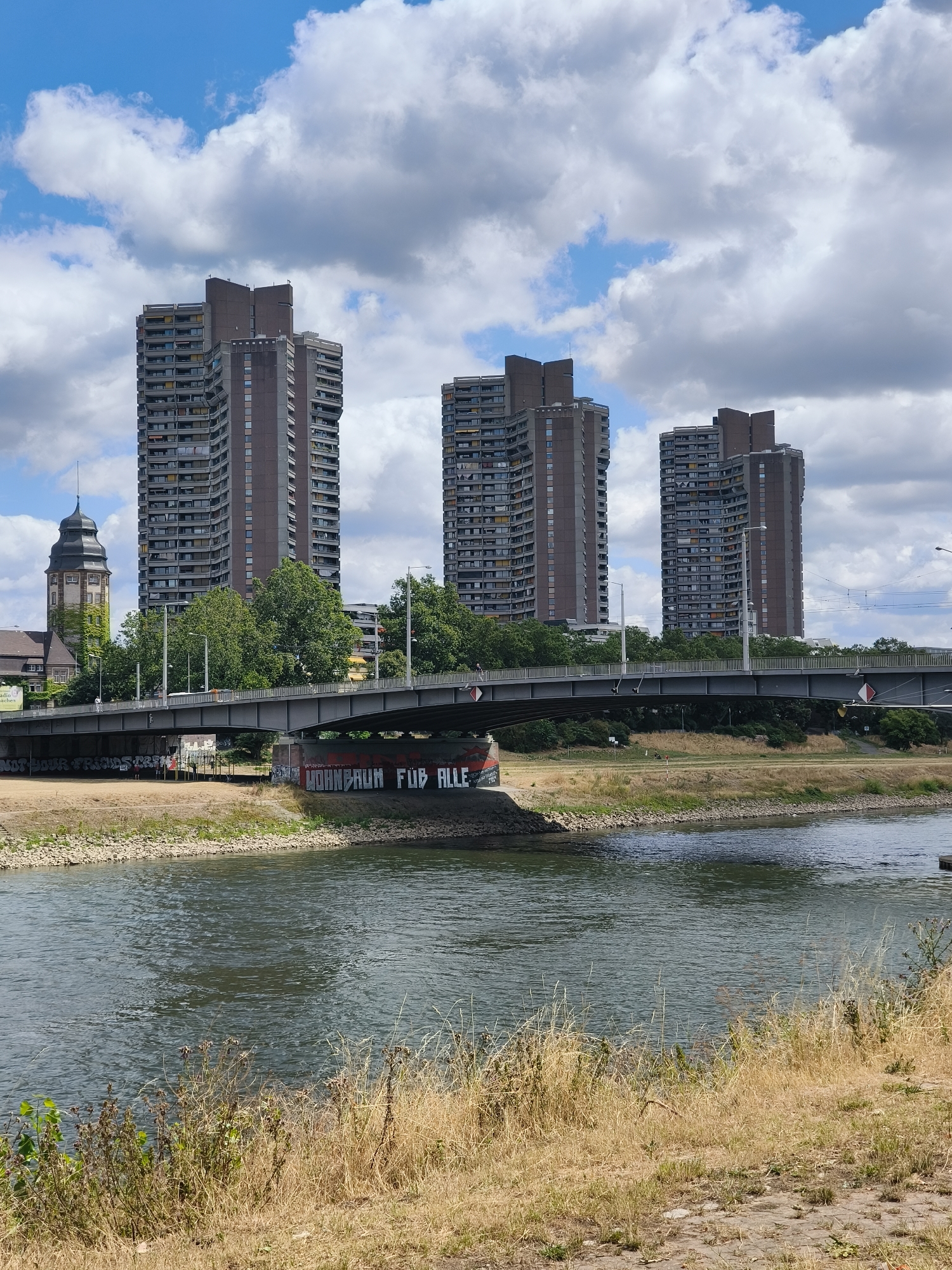 The image shows a wide river with a bridge spanning across it in Mannheim, Germany. On the far bank, there are several tall, modern apartment buildings with many balconies. To the left of the apartment buildings, a historic building with a dark, pointed roof is visible. The bridge has traffic on it and is adorned with graffiti on its underside. The riverbanks are lined with rocky material and dry, grassy vegetation in the foreground. The sky is partly cloudy with patches of blue sky visible.