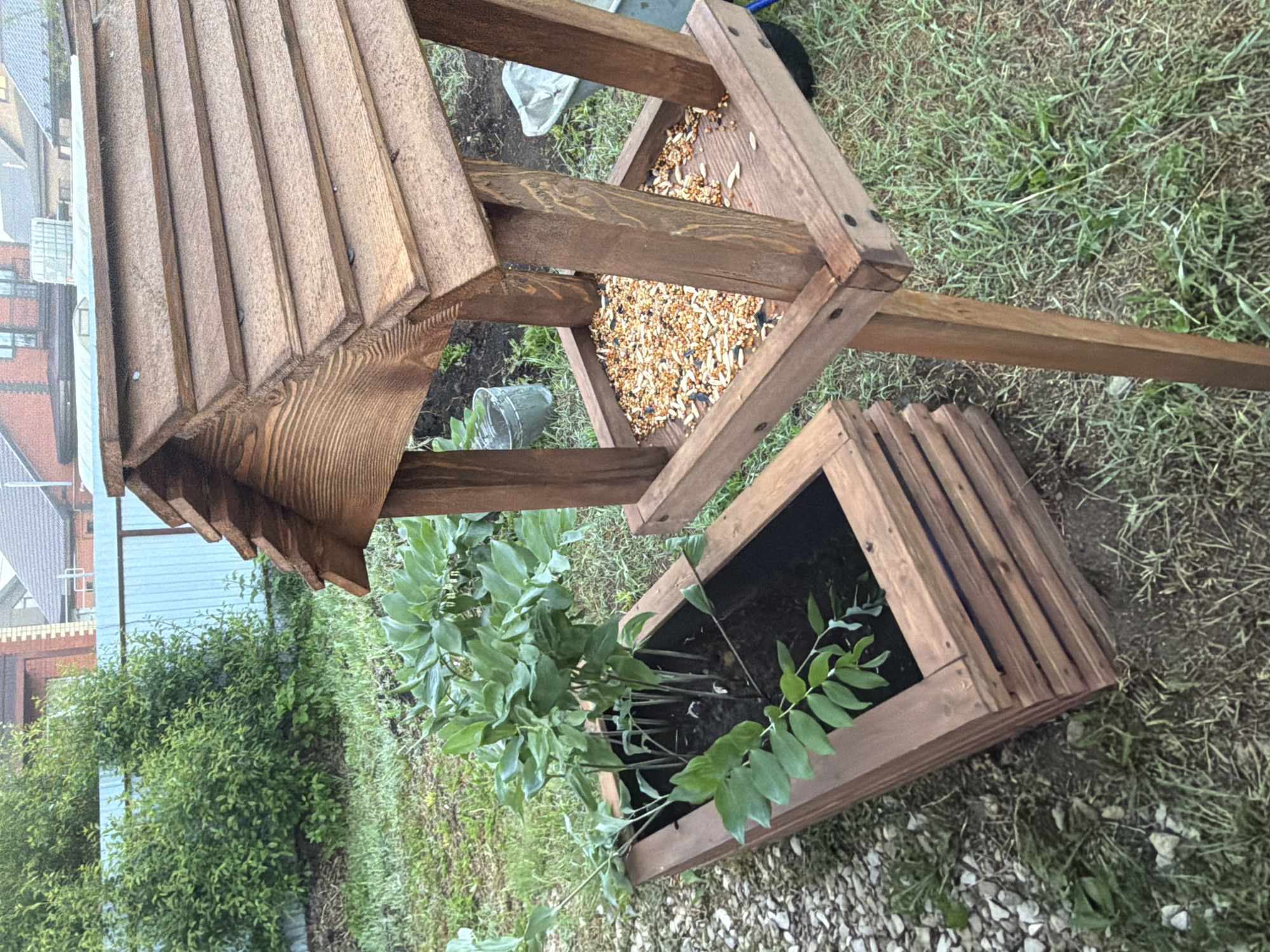 The image, taken in Большая Шильна, Russia, depicts a wooden bird feeder with an integrated planter, set outdoors in a garden or backyard environment. The main subject is a rustic, dark-stained wooden bird feeder featuring a prominent peaked roof constructed from horizontal planks. Beneath the roof, the open feeding tray is visible and filled with a substantial quantity of mixed birdseed, comprising various small grains and lighter-colored seeds.
The bird feeder stands on a sturdy wooden base, which incorporates a square wooden planter box at ground level. This planter is filled with dark soil and contains several green leafy plants, possibly a type of Solomon's Seal or similar foliage. The wooden components of both the feeder and the planter share the same dark, rich stain.
The ground surrounding the structure is a mix of green grass, patches of bare earth, and scattered light-colored gravel. In the background, beyond the immediate garden space, parts of residential buildings with roofs and walls are discernible, hinting at a suburban or rural setting. A clear glass jar lies on its side on the ground near the base of the feeder stand.
The scene appears to be captured during the daytime, under soft, diffused lighting, suggesting either an overcast sky or late afternoon. No people are present, and no specific activity is depicted other than the setup of the bird feeder and the growth of the plants. There is no visible text in the image.