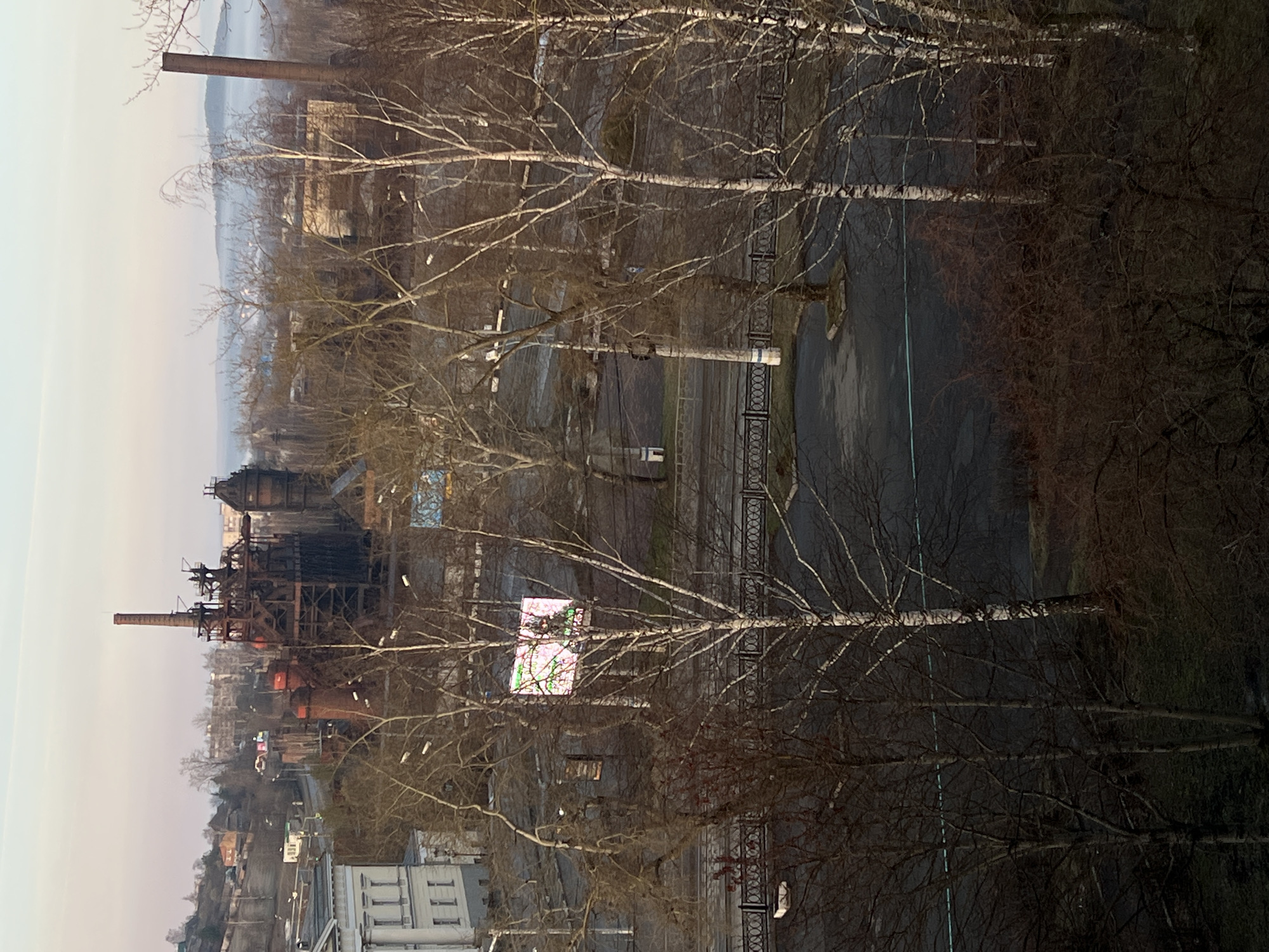 The image captures a landscape view of Nizhny Tagil, Russia. The foreground features bare-branched birch trees, obscuring parts of the scene. In the midground is the Vystavochny Complex of the Nizhny Tagil Museum-Reserve of Mining and Metallurgical Industry, an iron and steel plant with its characteristic smokestacks and industrial architecture. The background shows buildings, smog or fog, and distant structures. The weather appears overcast.