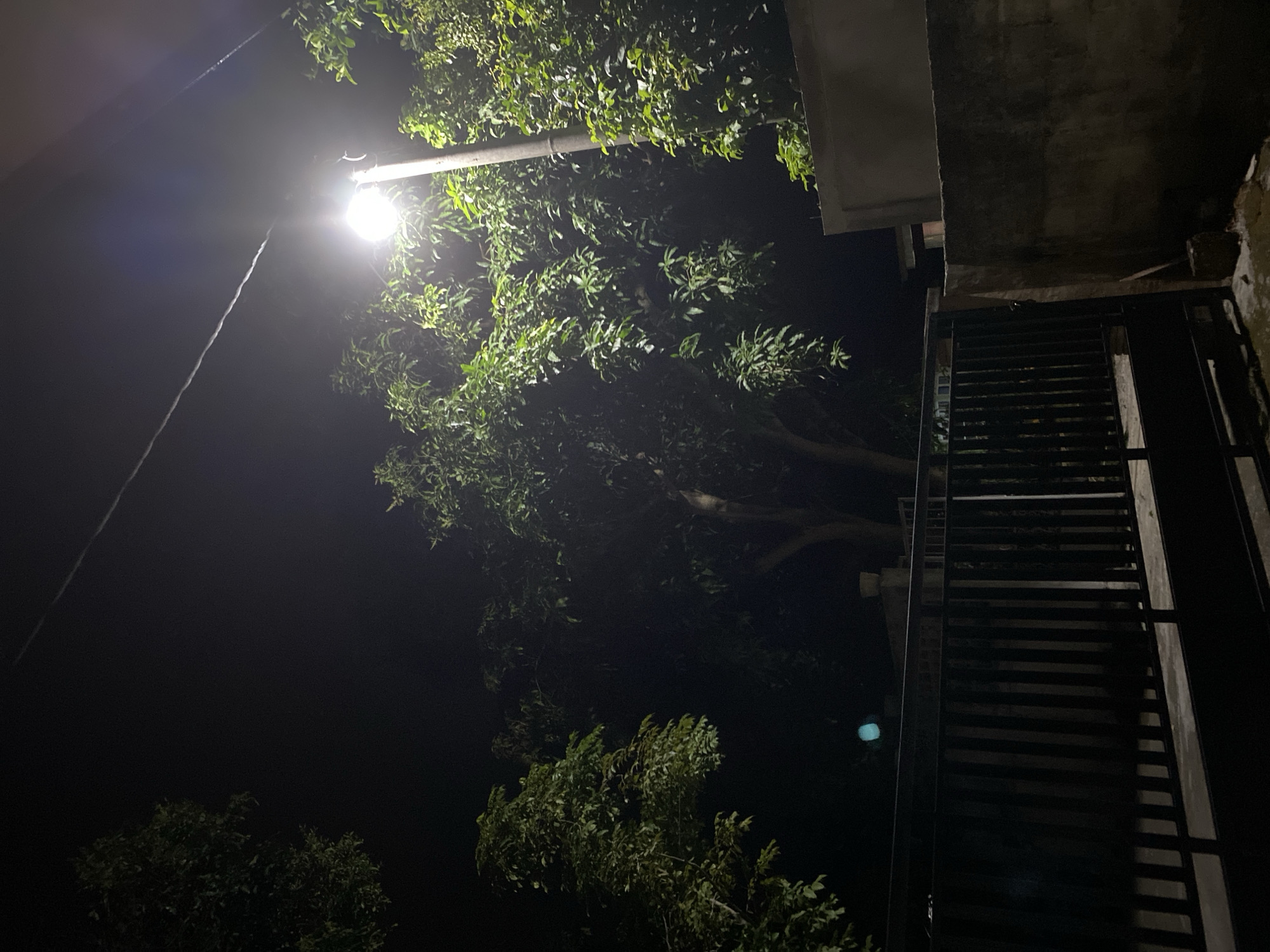 A nighttime image shows a street lamp illuminating trees and a black metal gate in front of a concrete wall. The street lamp is situated to the right of the frame, casting a bright light on the surrounding foliage and the upper section of the wall. The gate occupies the lower portion of the image, and beyond it, a faint blue light is visible. The environment appears to be a residential or semi-urban area in Lambaro Kueh, Indonesia, given the presence of the street lamp and the typical construction materials seen. There are no people visible in the image, and the scene depicts a static outdoor environment at night.