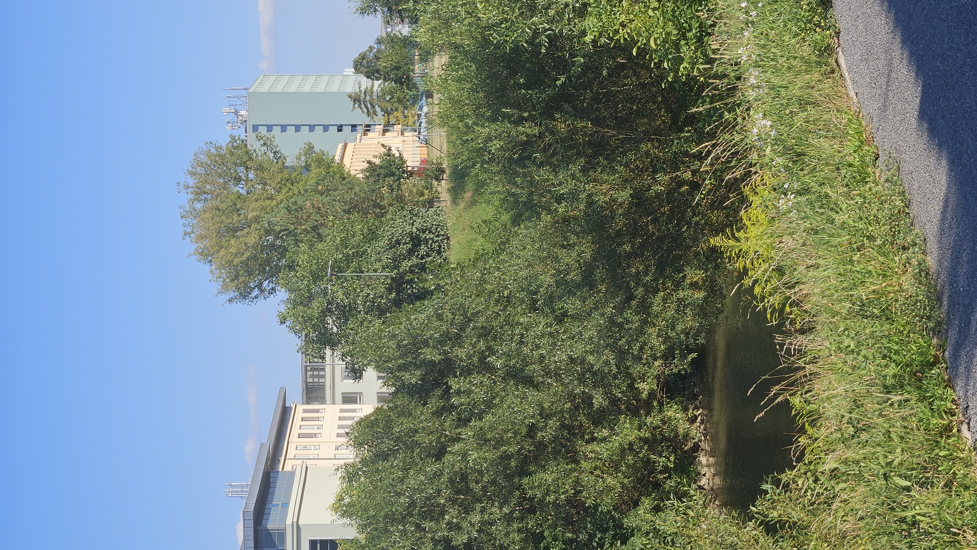 The image depicts a calm river or stream flowing through a vegetated area, with modern buildings in the background. The river is dark and still, reflecting the surrounding trees. Tall grass and wildflowers line the bank of the river and a paved path is visible in the foreground. In the mid-ground, dense green foliage from trees obscures the view of the landscape beyond. In the background, several buildings are visible. On the left, a light-colored building with a flat roof and multiple windows is present. To its right, a taller, light blue building with numerous windows and antennas on its roof stands out. Further to the right, a yellowish-beige building with a flat roof and windows is situated. The sky is clear and blue. The overall scene suggests an urban or suburban setting in Prešov, Slovakia, where nature and modern infrastructure coexist.