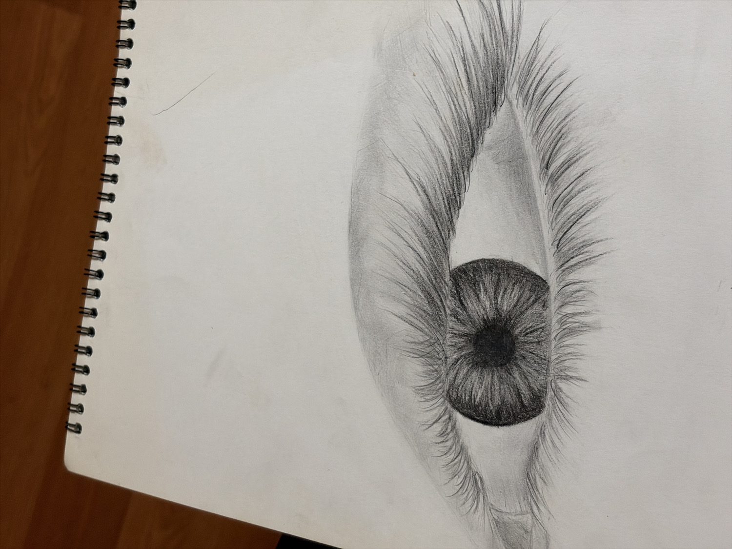 A photograph captures a detailed graphite pencil drawing of an eye, rendered on a sheet of white paper within a spiral-bound sketchbook. The drawing, positioned on the right side of the page, showcases a realistic human eye with intricate details. The iris features elaborate radial patterns and nuanced shading, while the pupil is a deep, solid black circle. Numerous long, fine eyelashes extend from both the upper and lower eyelids, drawn with individual strokes to create volume and texture. Soft shading defines the contours of the eyelids and surrounding skin, giving the eye a three-dimensional quality.
The sketchbook itself is visible, with a black spiral binding running vertically along its left edge. The white paper shows slight smudges or discoloration in the left margin and a faint, thin, curved pencil line in the upper left, separate from the main artwork. The sketchbook rests on a warm brown wooden surface, possibly a floor or table, which exhibits visible wood grain. The lighting is soft and even, suggesting an indoor setting. There is no visible text in the image.