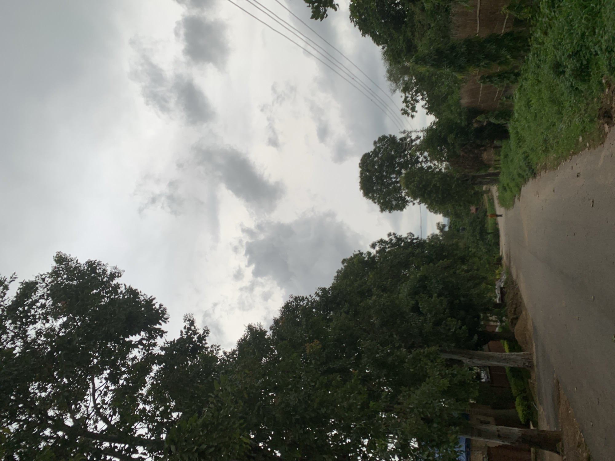 The image depicts an overcast day in a rural or semi-rural area, possibly on the outskirts of Jos, Nigeria. A paved road curves gently through a landscape dominated by lush green trees and vegetation. On the left side of the road, a line of mature trees with dark green foliage stands tall, casting shadows. Behind these trees, a glimpse of a building with a blue roof is visible. The right side of the road is bordered by thick, green grass and more trees, with a fence constructed from what appears to be bamboo or reeds. In the distance, a lone figure, possibly a child, is walking away from the camera down the road. Power lines are visible stretching across the sky, hinting at the presence of infrastructure. The sky is filled with heavy, gray clouds, suggesting an impending rain or a generally cloudy day. The overall atmosphere is serene and quiet, characteristic of a less urbanized environment.