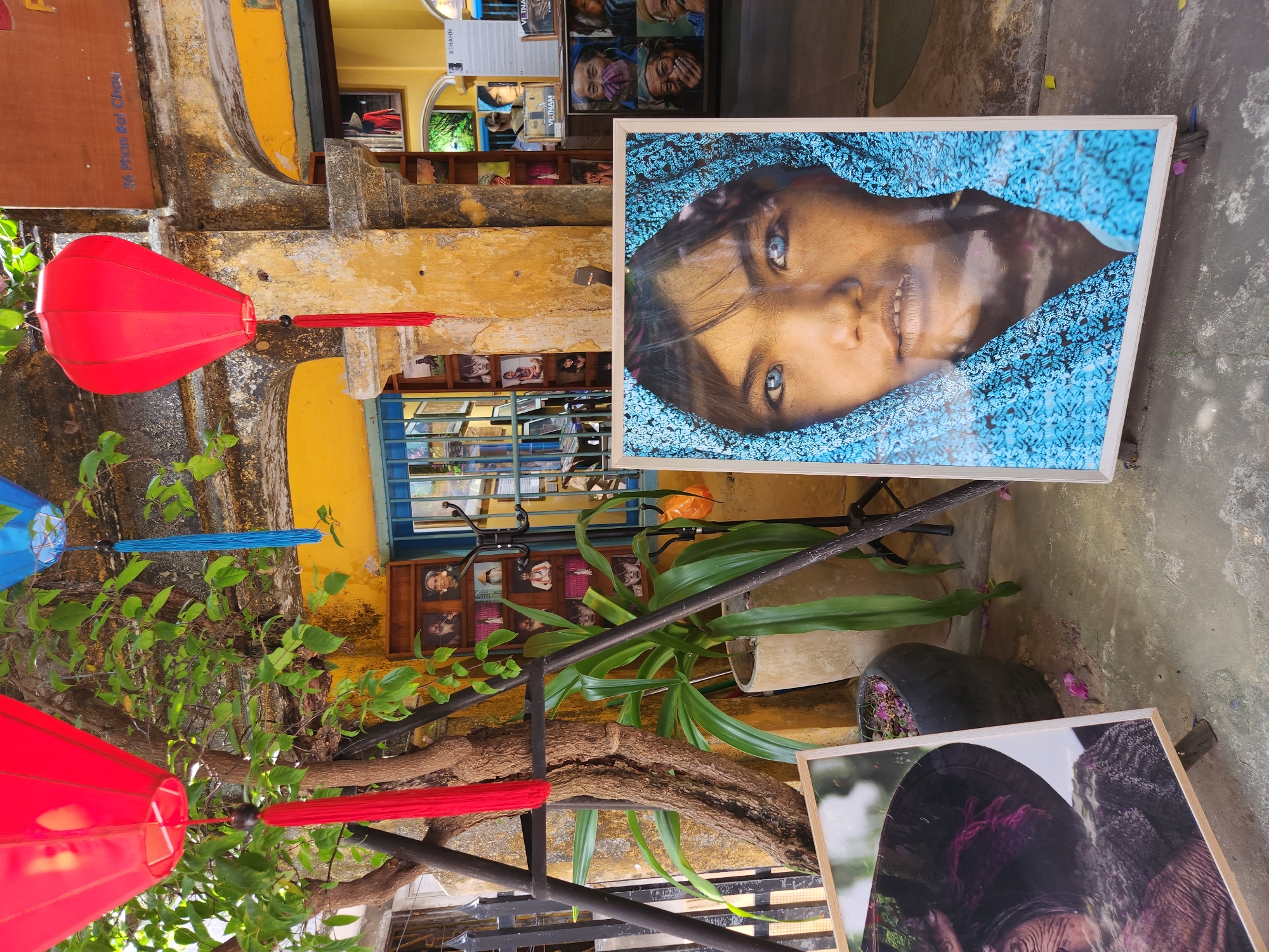 This image captures a street view in Hội An, Vietnam, likely near a shop or gallery. Dominating the foreground are two framed photographs displayed on easels. The larger, more prominent photo on the right features a close-up portrait of a young person with striking blue eyes, their face partially covered by a vibrant blue patterned cloth. To the left, a second, partially visible framed photograph shows the upper portion of a person's face, wearing a dark hat and a textured scarf.
In the background, a weathered, yellow-painted building with arched openings is visible. Red and blue paper lanterns hang from tree branches, adding a festive touch. The building's facade is adorned with numerous smaller framed photographs displayed on shelves or within niches, depicting portraits of various individuals. A large potted plant with long green leaves stands near the center. The ground is concrete, with some fallen pink petals scattered around. The overall scene suggests a marketplace or a cultural hub in Hội An, known for its preserved ancient town.