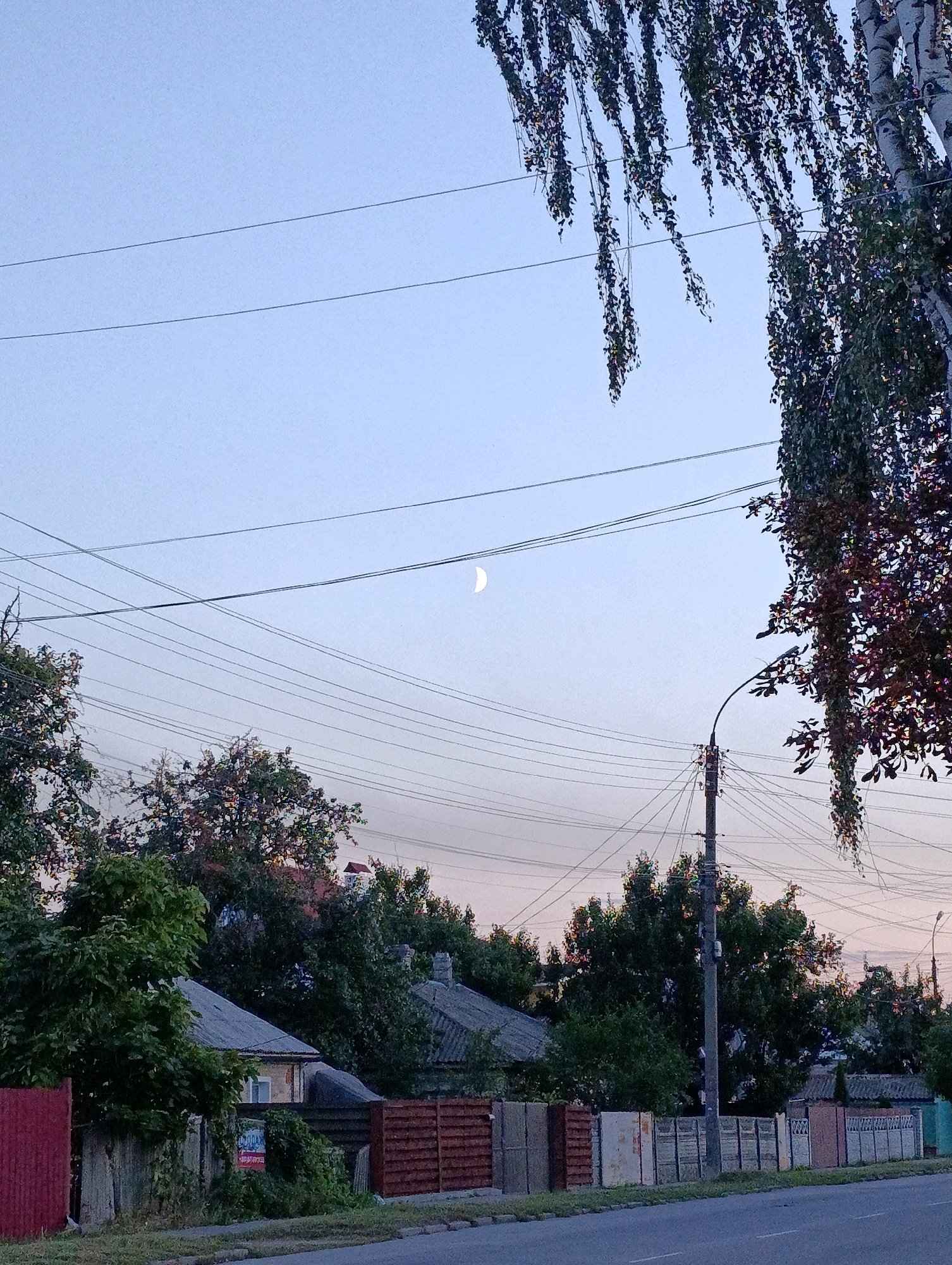 The image depicts a street scene in Cherkasy, Ukraine, under a pale blue sky with a crescent moon visible. Overhead, numerous electrical wires crisscross the frame, punctuated by a street lamp on the right. A large tree with drooping branches, some displaying reddish-purple leaves, extends into the upper right corner of the image. In the background, the roofs of houses and dense foliage suggest a residential area. A street runs along the bottom of the image, bordered by fences and vegetation. There are no people or vehicles visible in the scene.
