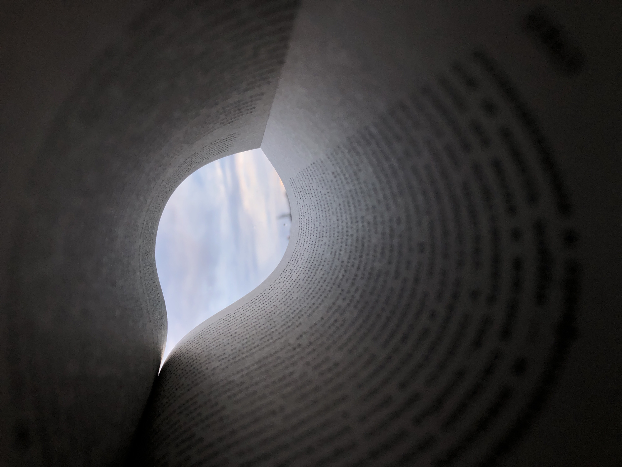 The image presents an abstract, close-up view from inside a book, looking outwards through an opening formed by its curved pages. The light-colored pages are bent and scrolled, creating a tunnel-like effect that frames a central, irregular, heart-shaped aperture. Through this opening, a soft, cloudy sky is visible, indicating an outdoor setting during daytime.
The inner surfaces of the book pages are densely covered with small, black printed text. While the text itself is illegible due to the shallow depth of field and the small size of the characters, its presence creates a distinct textured pattern on the paper, especially on the sharply curved pages to the right. The lighting is diffused, illuminating the sky and casting subtle shadows that emphasize the curves and folds of the pages.
The scene conveys a sense of looking from within a world of literature to the broader world beyond. The weather appears to be overcast or partly cloudy. There are no people or specific location cues visible within the image itself to identify Noviy, Russia, but this is the provided context for the setting.