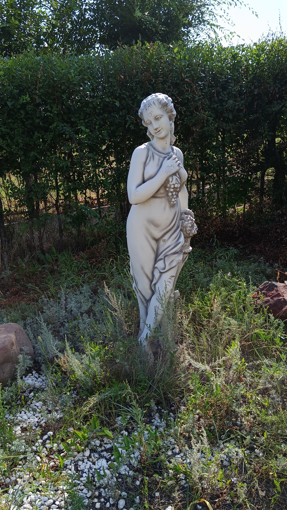 The image shows a life-size, light-colored statue of a woman holding a bunch of grapes in front of a dense green hedge. The statue is positioned in a garden area with low-lying green plants and a scattering of white pebbles on the ground. A large, light brown rock is visible to the left of the statue, and a dark reddish-brown rock is present on the right. The background consists of the hedge and some trees. The scene appears to be outdoors on a sunny day. The provided context indicates this location is in the city of Kostanay, Kazakhstan, though this specific detail is not visually discernible from the image itself.