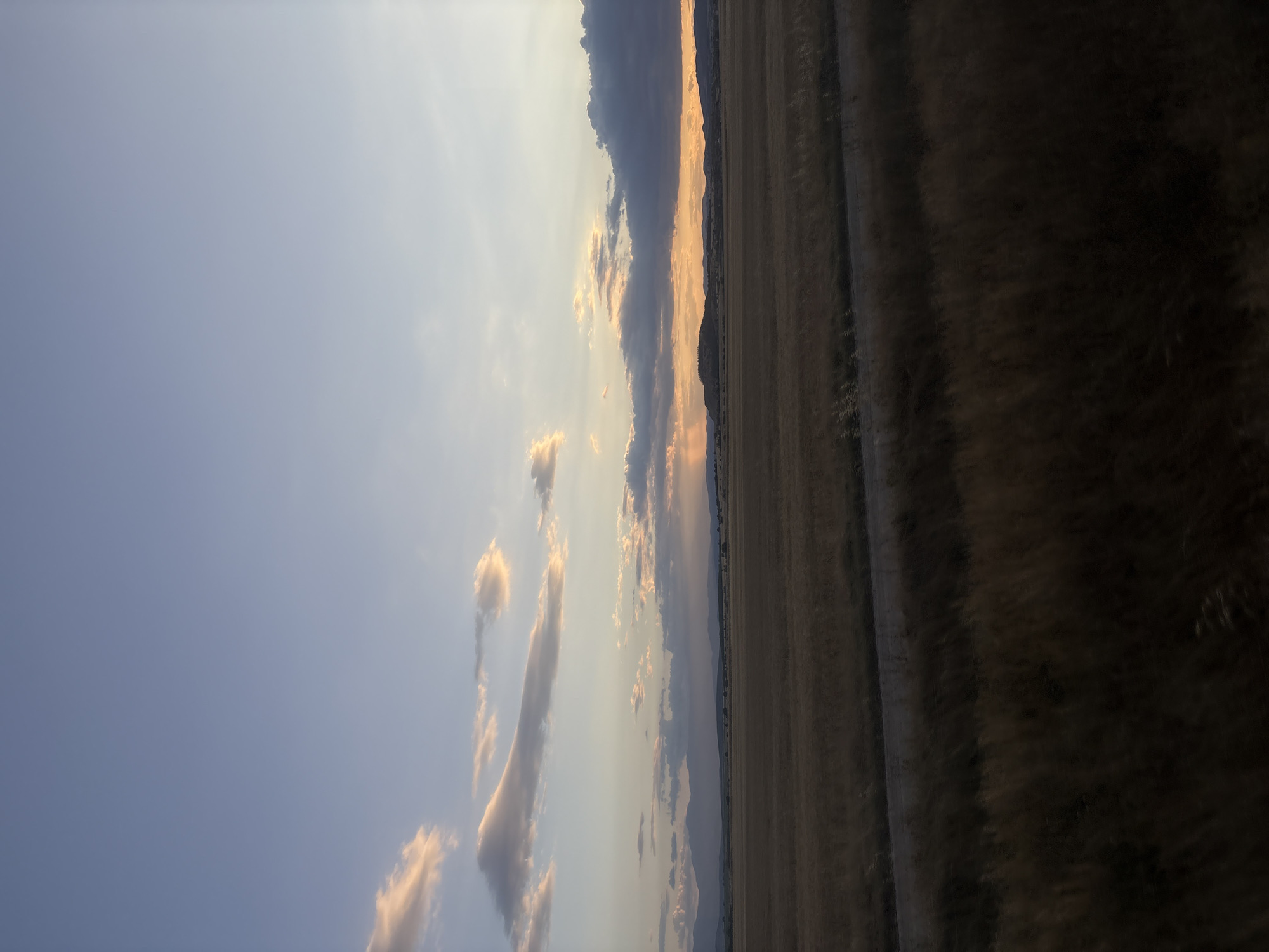 This is a vertical, full-frame, eye-level photograph taken outdoors in Tsar Asen, Bulgaria, during what appears to be sunset or twilight. The scene depicts a vast, open landscape.
The upper portion of the image is dominated by a clear sky, transitioning from a pale blue at the top to a softer, hazy white near the horizon. Scattered clouds are present, some tinged with orange and pink from the setting sun, particularly in the middle and right sections of the sky.
Below the sky, a distant range of mountains or hills forms a dark silhouette against the lighter horizon. The middle ground is a flat, open field covered in dry, golden-brown grass or crops, suggesting a rural or agricultural setting. A narrow, unpaved road or track runs horizontally across this field, dividing it into two sections. The foreground also consists of tall, dry grass, which is darker and more out of focus, creating a sense of depth.
The overall impression is one of natural beauty and tranquility, characteristic of a rural sunset. There are no people or man-made structures visible other than the road. The lighting is soft and diffused, consistent with the golden hour.