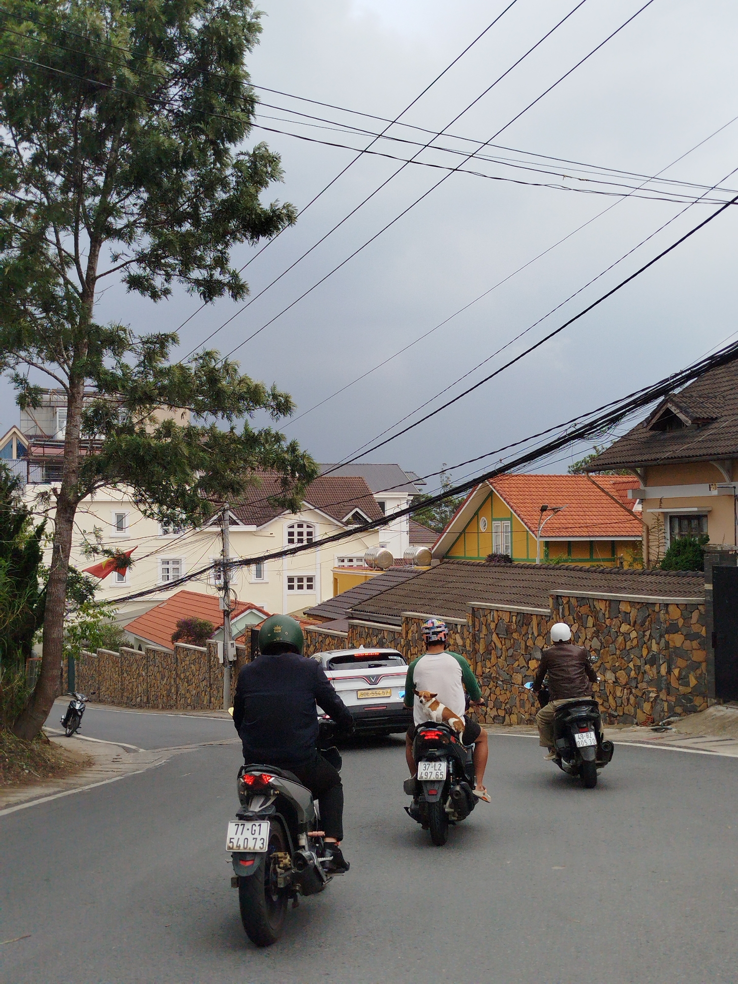 The image depicts an everyday street scene in Da Lat, Vietnam, on an overcast day. Three men are riding motorcycles or scooters uphill on a paved road, viewed from behind.
In the immediate foreground on the left, a large, leafy tree stands beside the road. The street is bordered by textured stone walls and residential houses with varied architecture. Many black utility wires crisscross the dull grey sky overhead.
The motorcyclists are all wearing helmets. The rider closest to the viewer, on the left, wears a dark jacket and a dark green helmet. His scooter's license plate reads "77-G1 540.73". The rider in the middle, wearing a white and green shirt and a patterned helmet, has a small, light brown and white dog perched on the rear seat of his scooter. This scooter displays the license plate "37-L2 497.65". The third rider, on the right, wears a brown leather jacket and a white helmet, with his scooter's license plate showing "49-B2 005.30". Behind these riders, a white VinFast car is partially visible, with "50E-554:57" on its license plate.
The houses in the background feature predominantly pitched, tiled roofs in shades of brown and red. Building facades vary, with colors such as cream, yellow, and a distinctive yellow house with green trim. A Vietnamese flag, red with a yellow star, hangs from one of the buildings on the left side of the street. The dense network of utility wires and the architectural style of the houses are notable elements contributing to the Vietnamese setting.