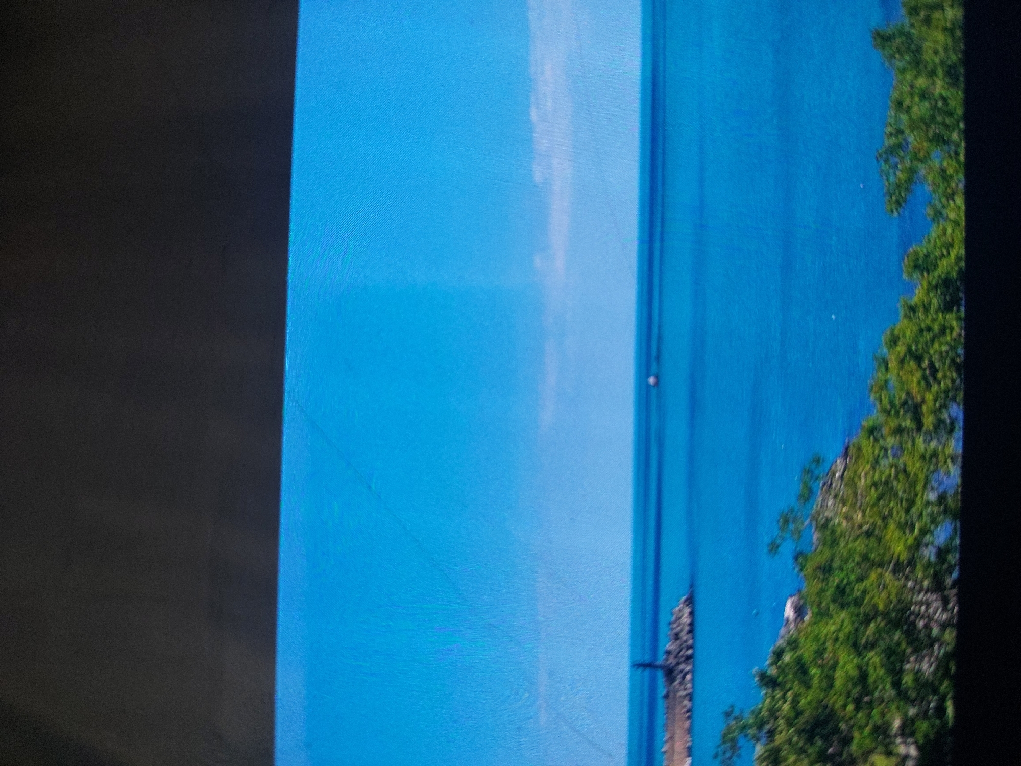 A partially visible photograph shows a scene of what appears to be the Black Sea near Tsarevo, Bulgaria. The background is primarily a vibrant blue, likely the sky and sea. A faint white streak suggests clouds or light reflecting on the water. A thin, vertical line suggests a power line. On the right side of the frame, the edge of a rocky shore covered in lush green trees is partially visible. A dark, blurred edge appears on the left, possibly the frame of a television or monitor screen from which the image was taken.